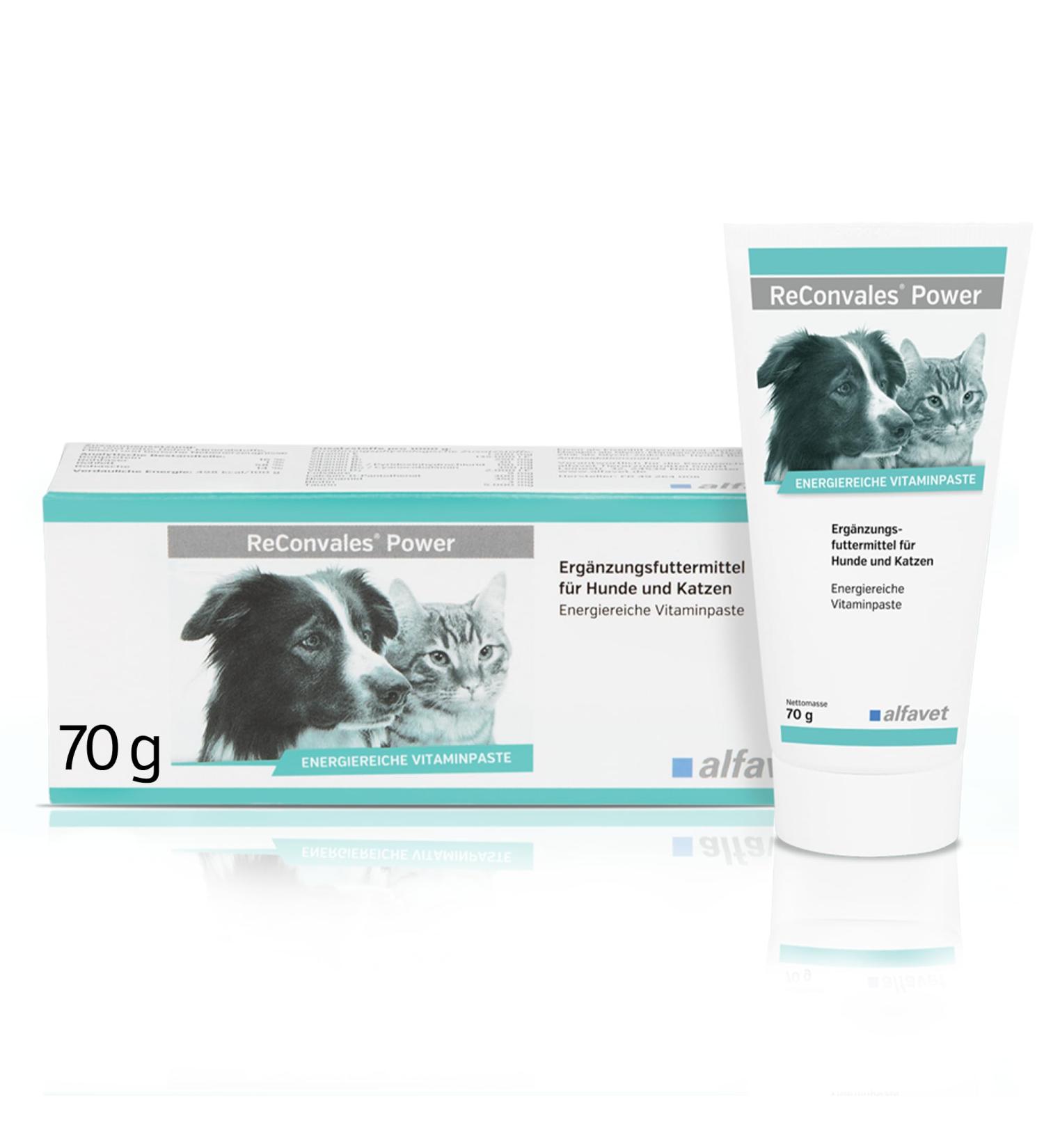 Alfavet ReConvales Power - Dietary Supplement for Dogs & Cats | Fattening Paste for Underweight Pets | 70g Tube - Buy Online on GoSupps.com