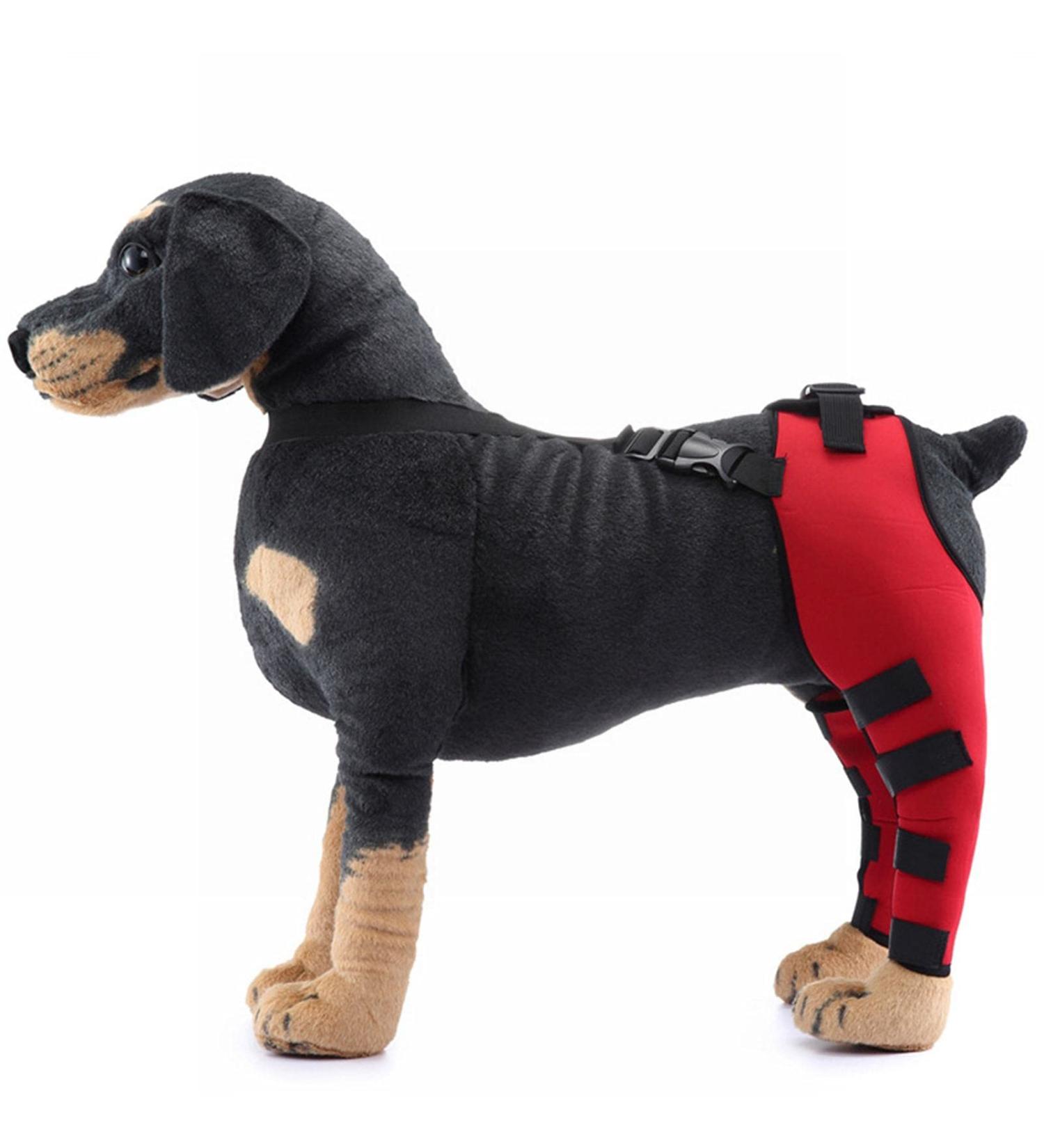 Dog Rear Hind Leg Joint Brace Pet Dog Double Hind Leg Brace Support Belt for Heals Prevents Injuries Sprains Protects Wounds. C X-Small - Buy Online on GoSupps.com