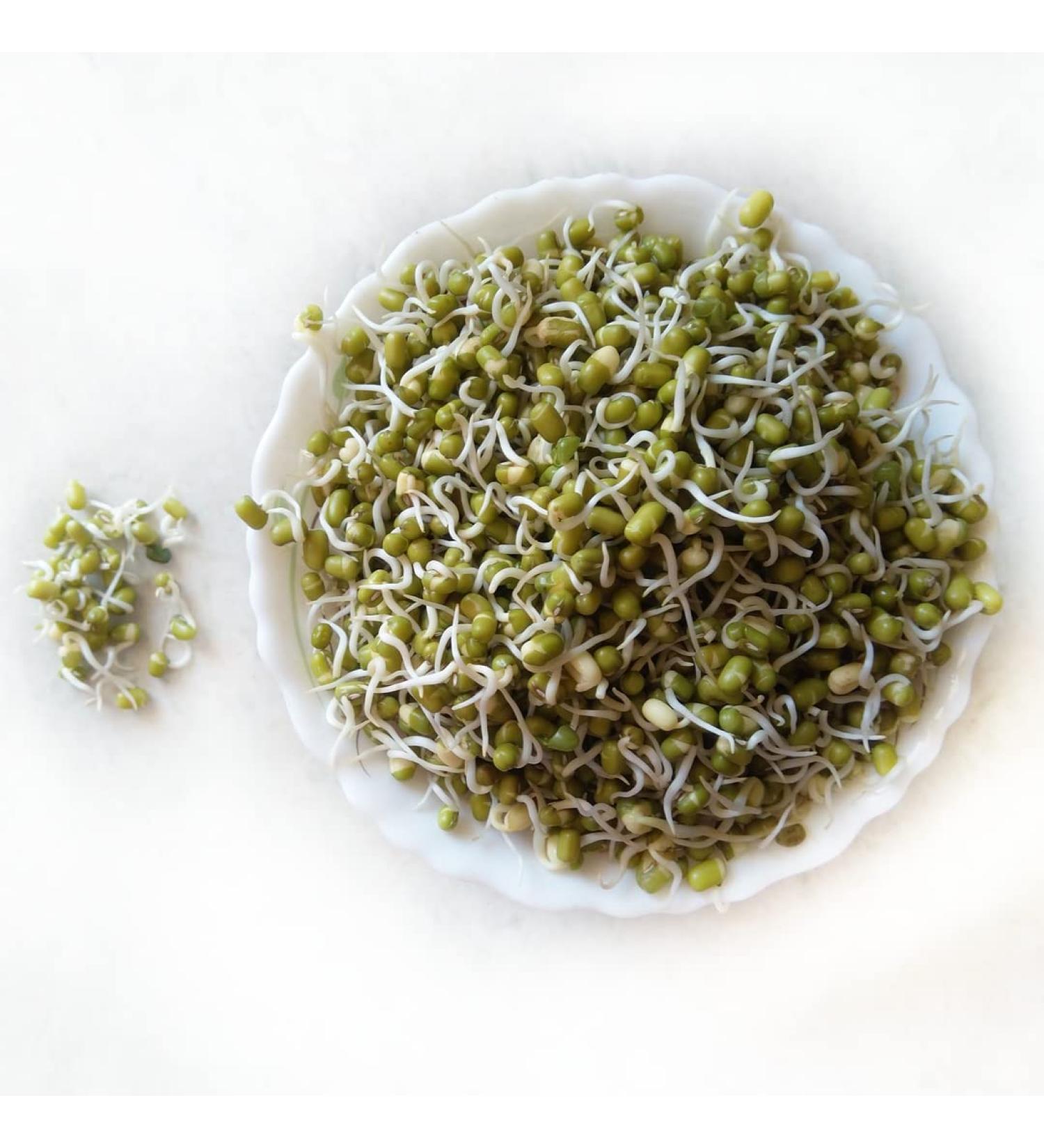 Moong Sprout 1.6 kg -/+10%