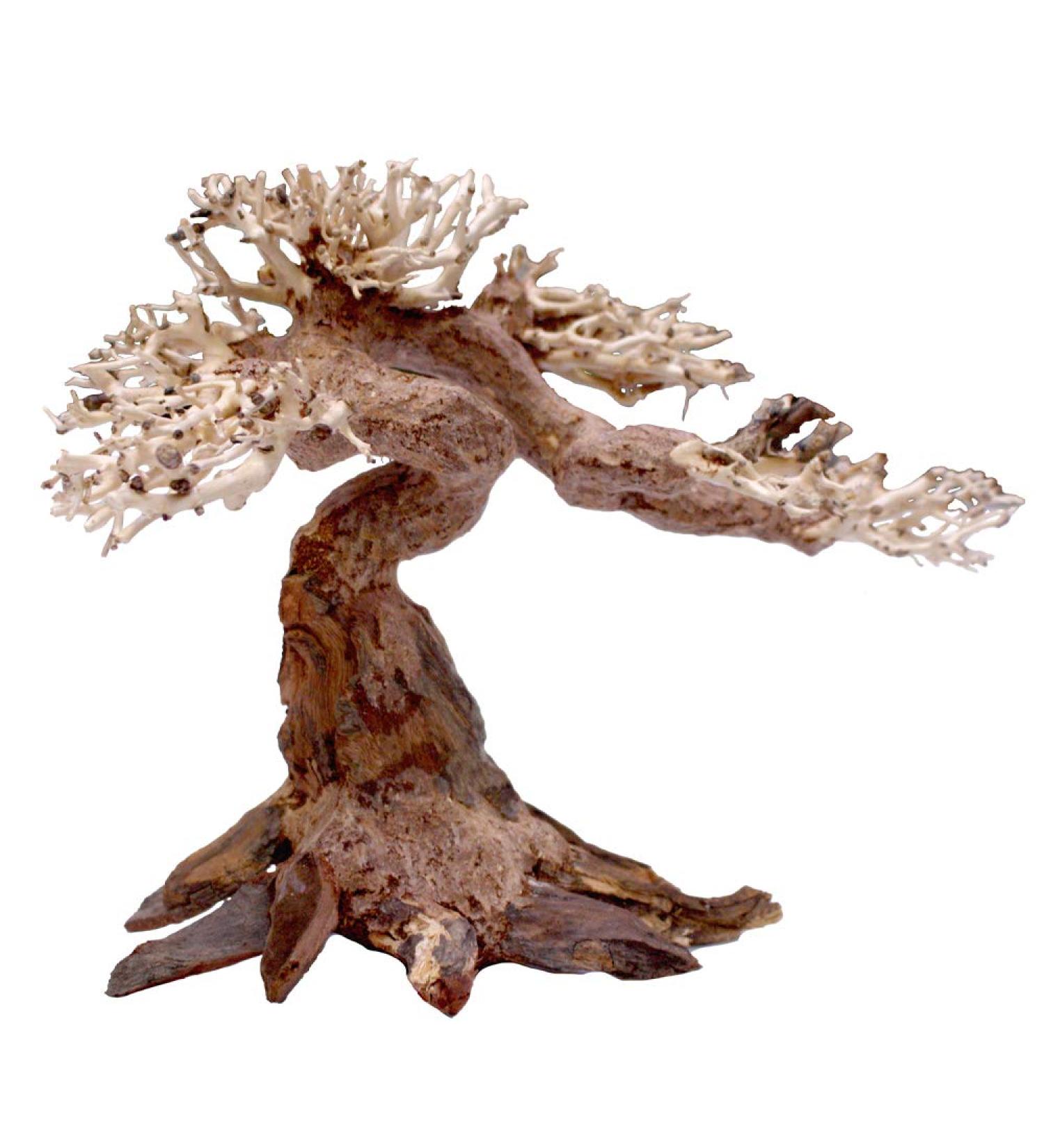 Amtra Oriental Wind 5 Wood Handmade Aquarium D cor 25x10x18 CM - Small Brown - Buy Online on GoSupps.com