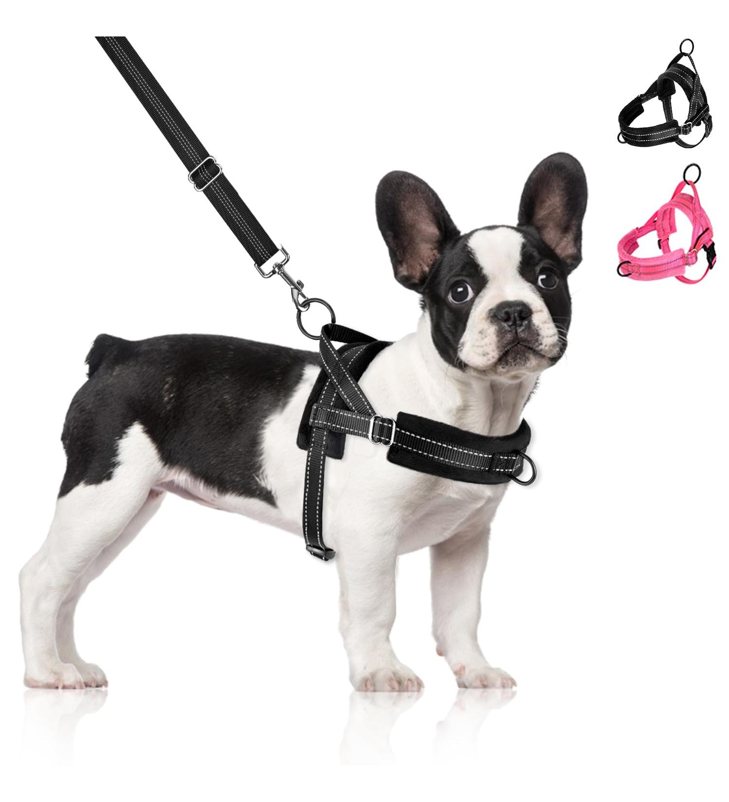 Eyein No-Pull Dog Harness & Leash Set | Soft Padded Reflective & Adjustable for Puppies Small & Large Dogs | Ideal for Pets & Cats (Black L) - Buy Online on GoSupps.com