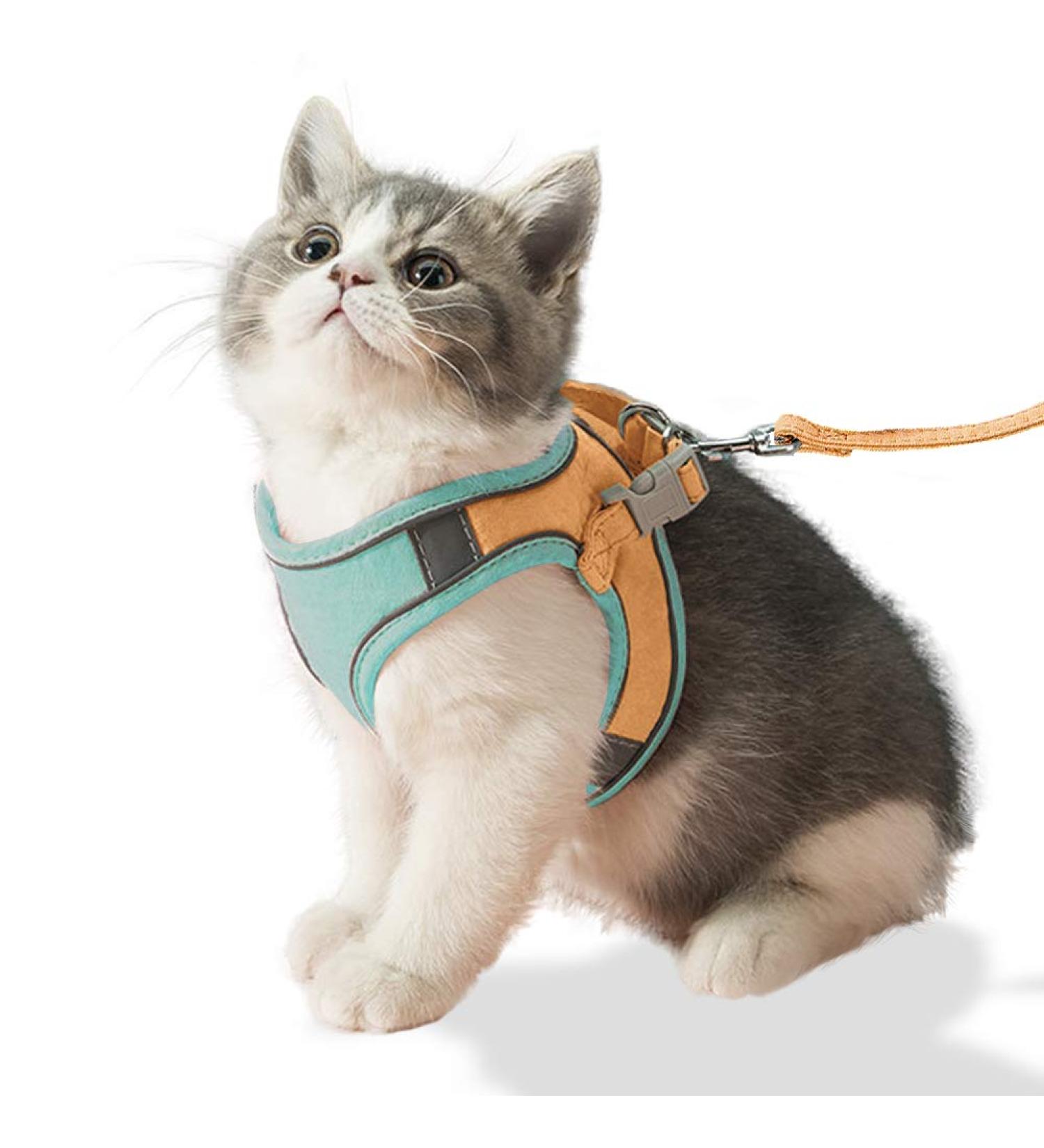 Fueegue Cat Harness & Leash - Escape Proof Adjustable Soft Harness for Cats & Dogs - Green L - Buy Online on GoSupps.com