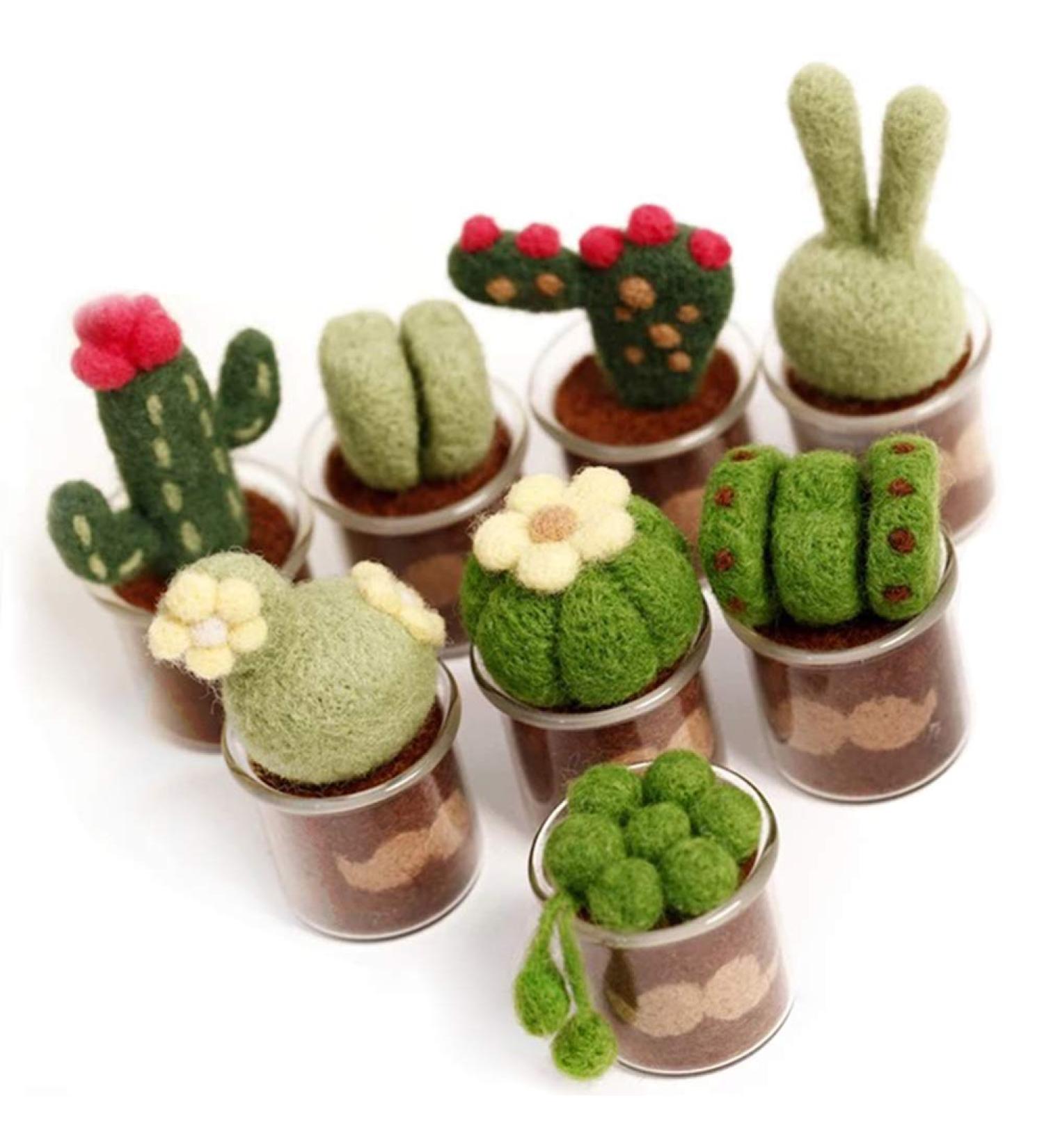 KISSBUTY Needle Felting Kit for Adults & Beginners - Complete Cactus Wool Set with Roving, Foam Mat, Glass Pots, Needles & Finger Guards - Buy Online on GoSupps.com