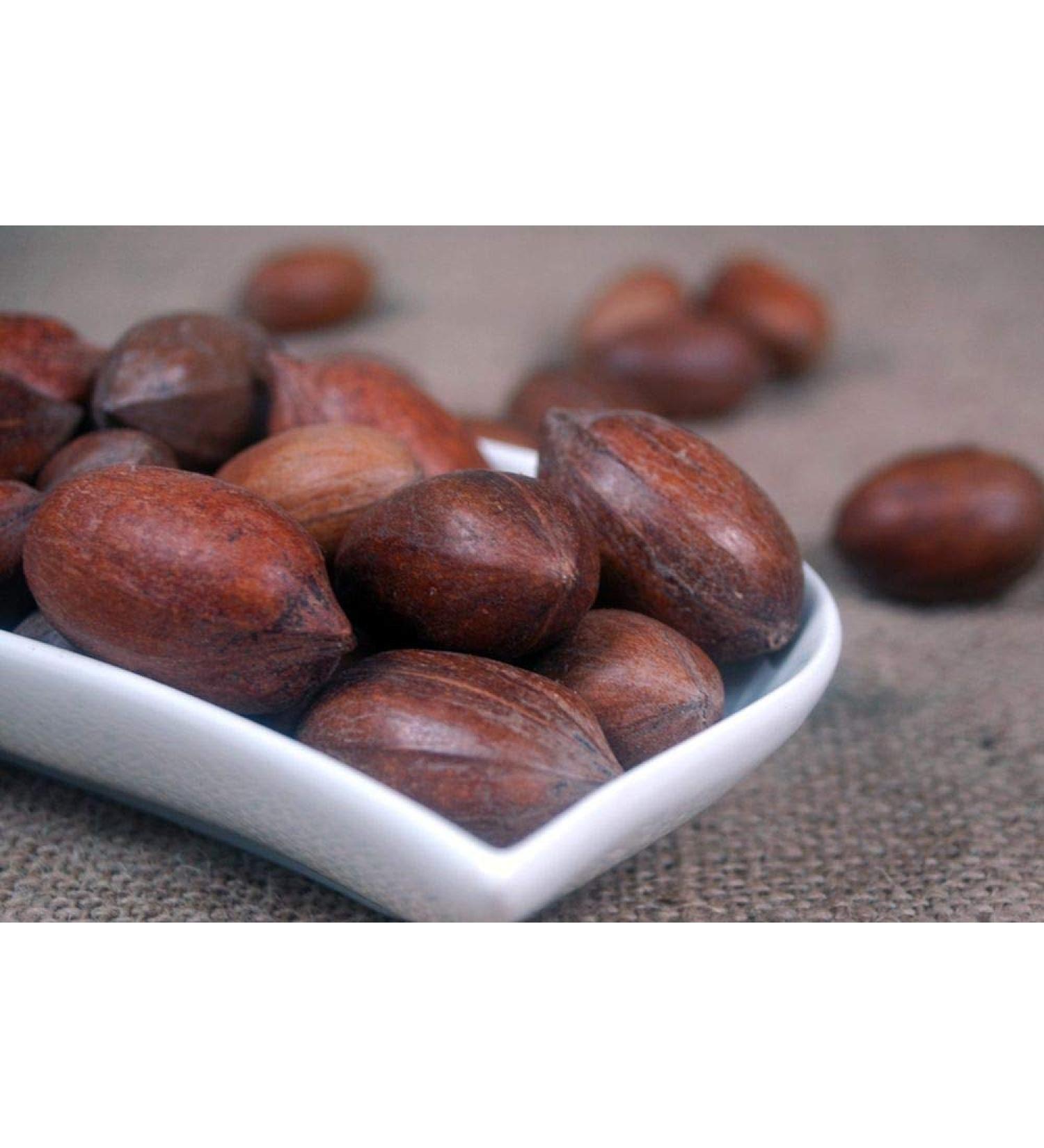 Krauterino24 - Pecans in the shell whole quantity: 50g Fruits 50g