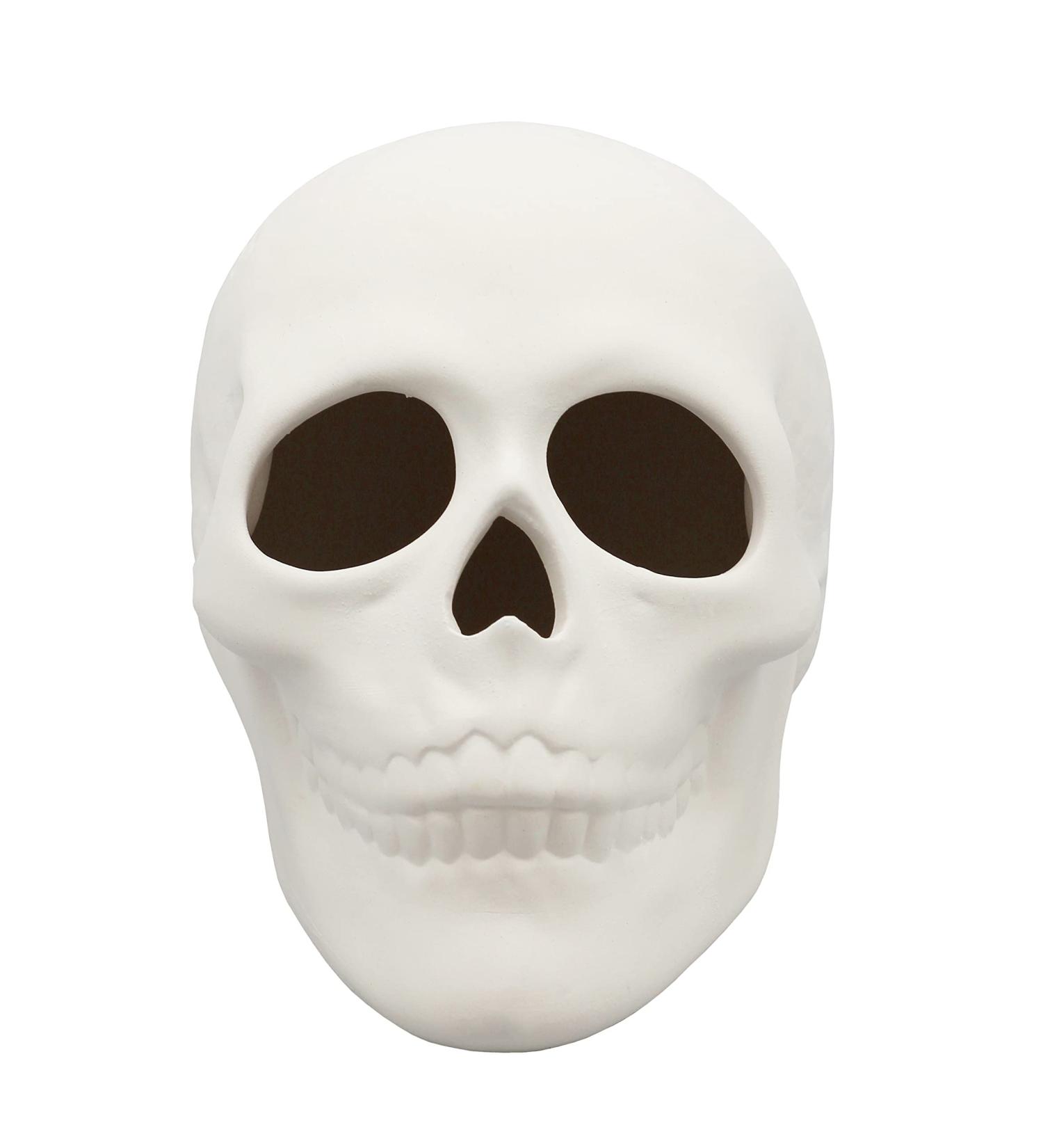 5x4 Inch Skull Ceramic Bisque - Paint Your Own Pottery Kit Included - Buy Online on GoSupps.com