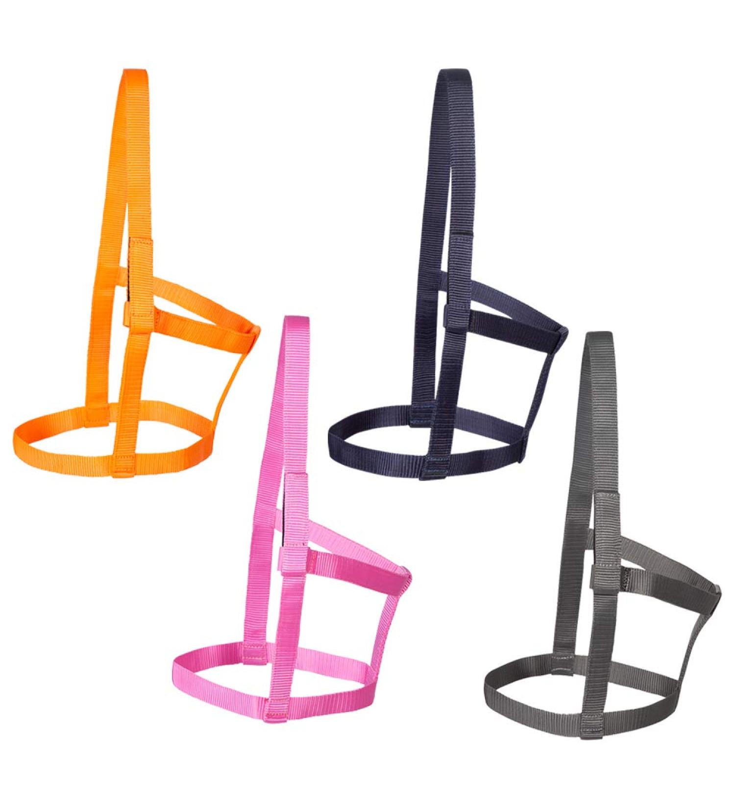 Buy PFIFF 102920 Joky Halter - Nylon Pink Pony Halter for Pasture & Paddock | International Shipping - Buy Online on GoSupps.com