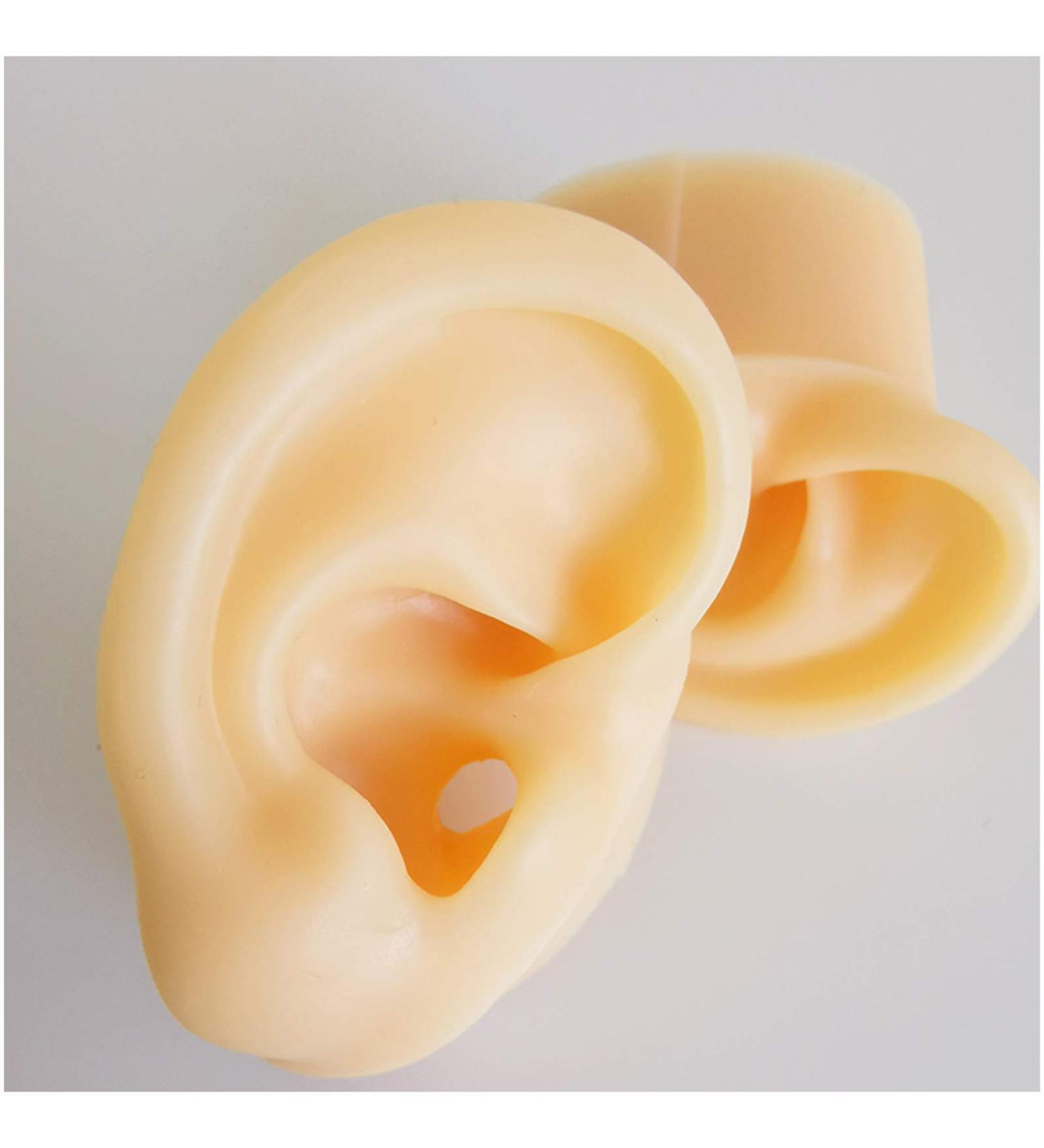 Silicone Ear Model for Acupuncture - Life Size Human Ear Model Lifelike Artificial Ear Model for Science Class Teaching Display Studs Earring Display Props - Buy Online on GoSupps.com