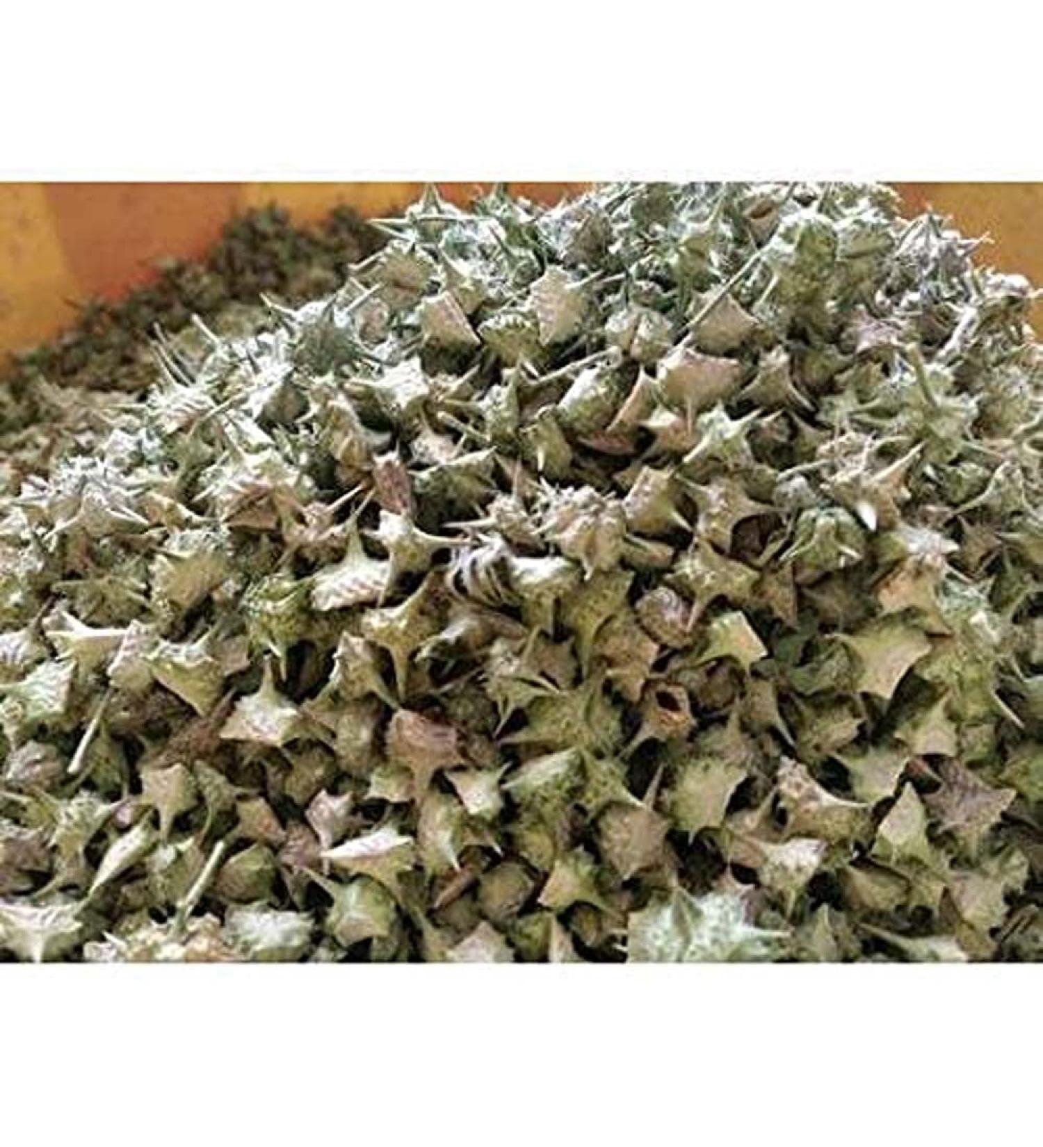 RAW HERB/JADI BOOTI GOKHRU SMALL GOKHARU CHOTA TRIBULUS TERRESTRIS (250GM) - Buy Online on GoSupps.com