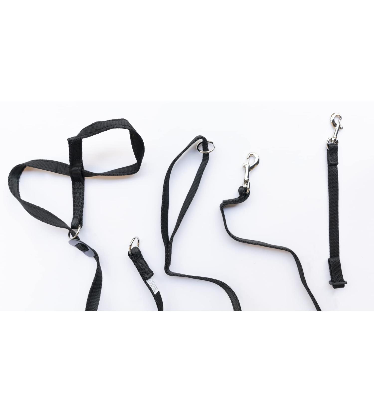 Gencon Combo - Headcollar (Right-handed Medium Black) Clip Lead Link Medium Black - Buy Online on GoSupps.com