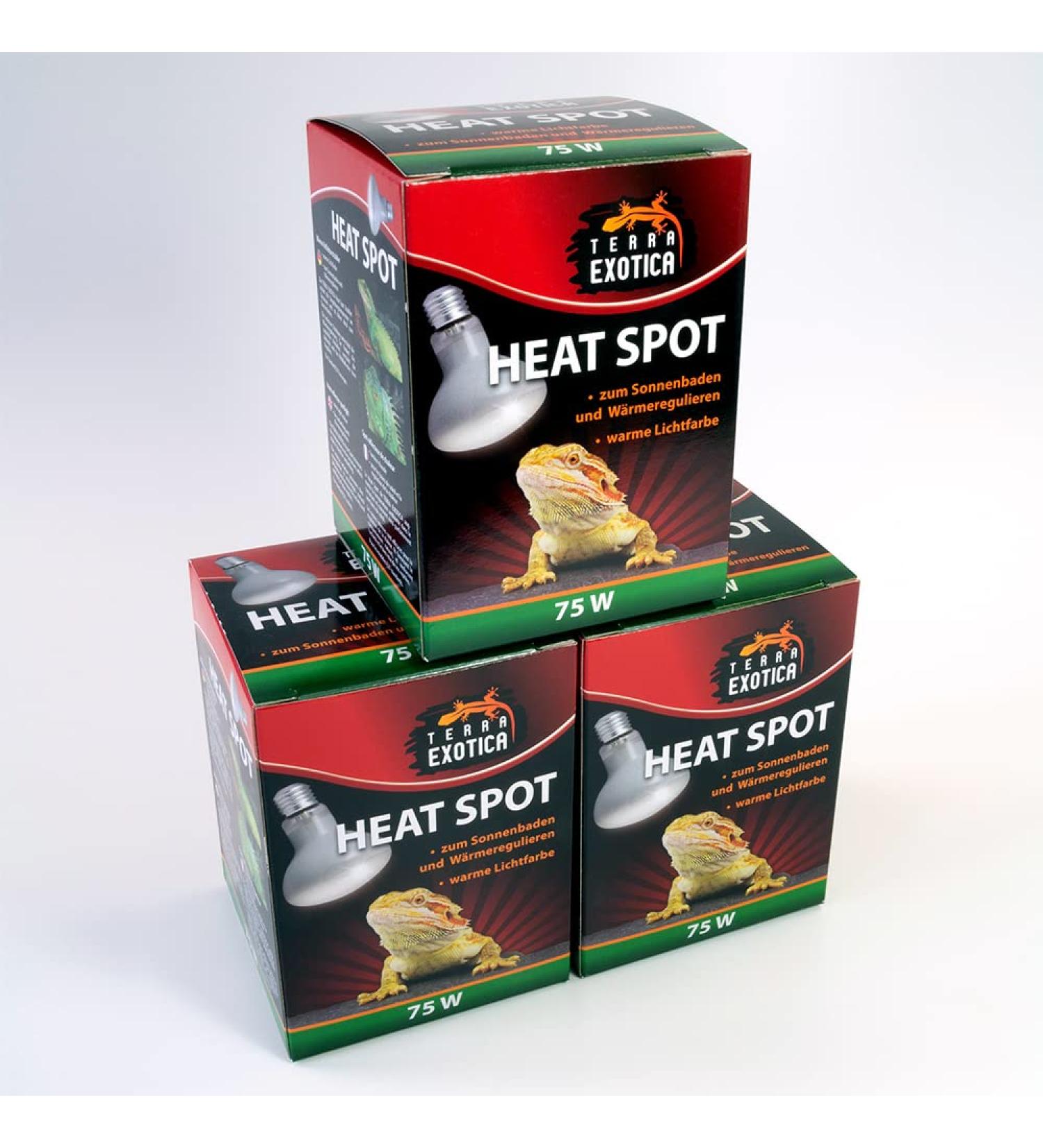 Terra Exotica 75W Heat Spot Bulb for Reptiles - 3 Pack Terrarium Lighting - Optimal Heat for Reptile Habitats - 25W 40W 60W 100W 150W Options Available - Buy Online on GoSupps.com