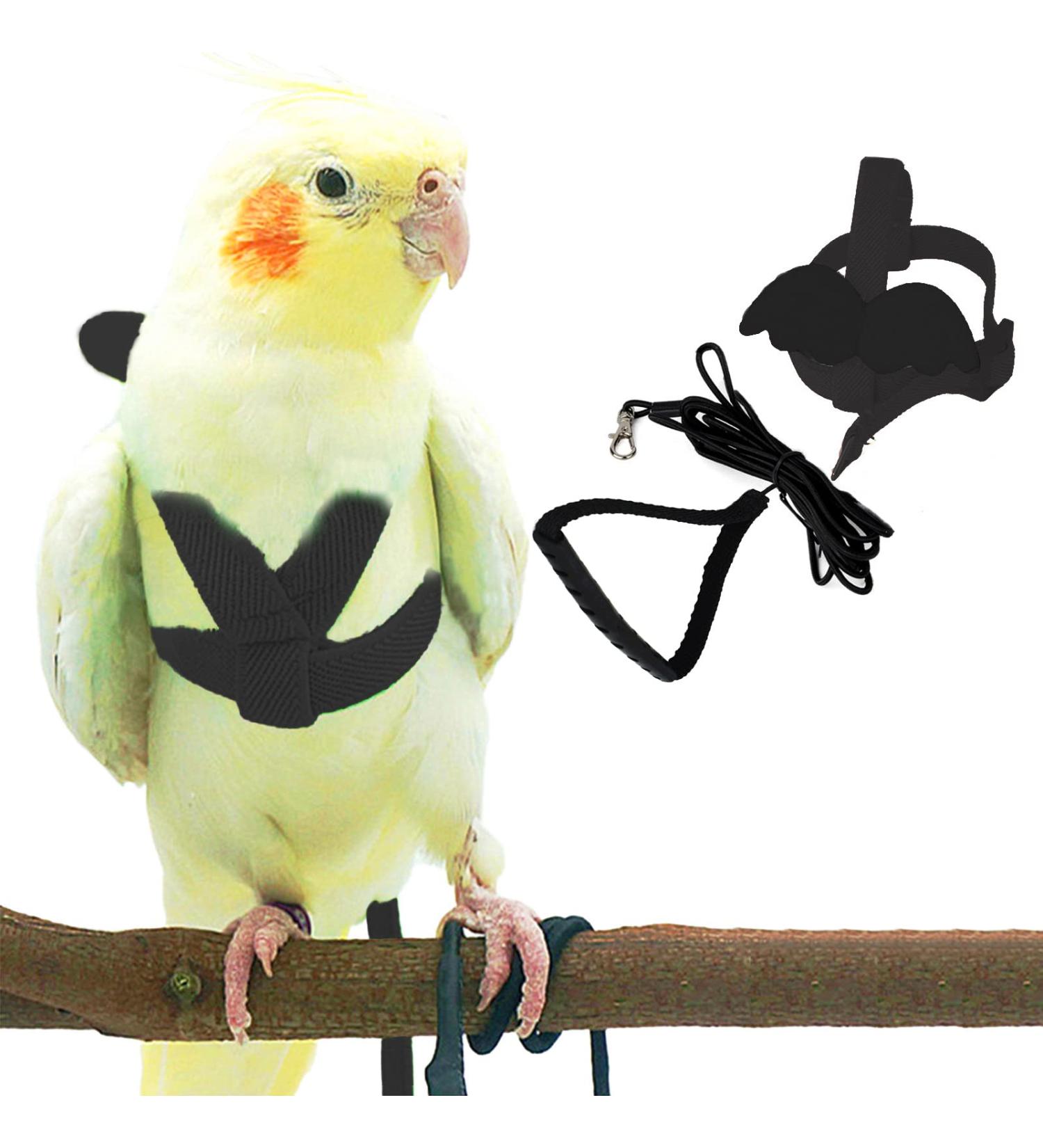 Pet Parrot Bird Harness and Leash Adjustable Anti Bite Training Design Nylon Rope with Cute Wing for Parrots Suitable for Alexandrine Scarlet Keck Mini Macaw Black