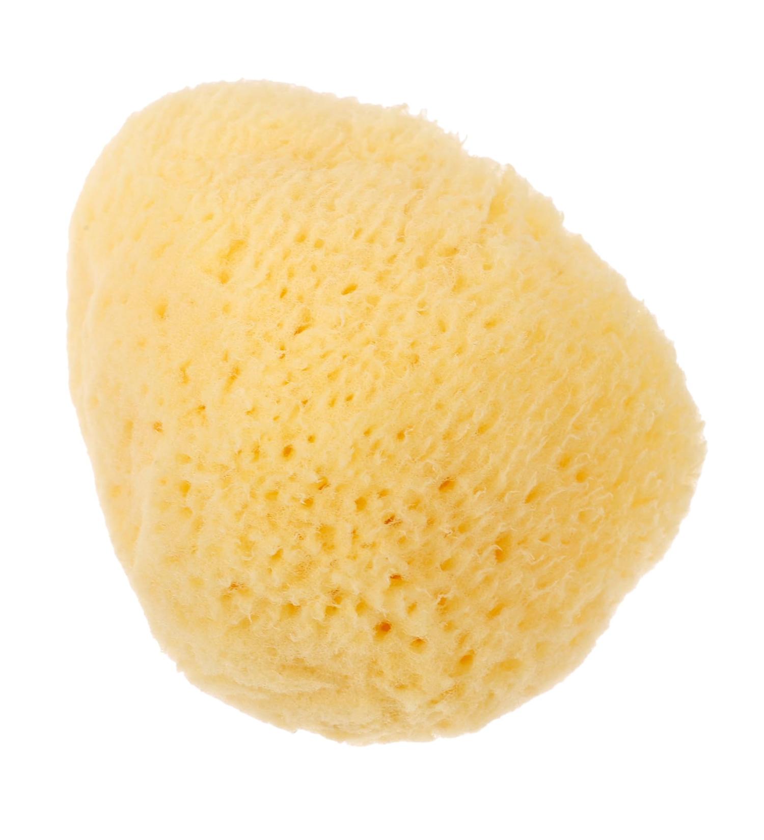 Didiseaon Natural Sponge Greece Facial Sponges for Cleansing and Exfoliating Facial Supplies Professional Face Sponges for Cleansing Face Sponge for Washing Face Facial Essentials - Buy Online on GoSupps.com