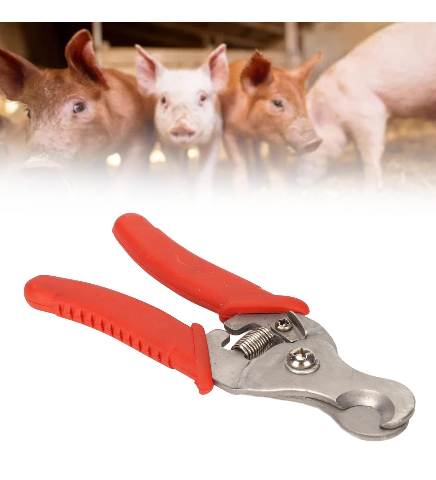 Stainless Steel Livestock Ear Tag Remover Stainless Steel Ear Tag Removing Tool Ear Tags Remover Applicators Pliers for Cattle Sheep Goat Pig Ear Tag - Buy Online on GoSupps.com