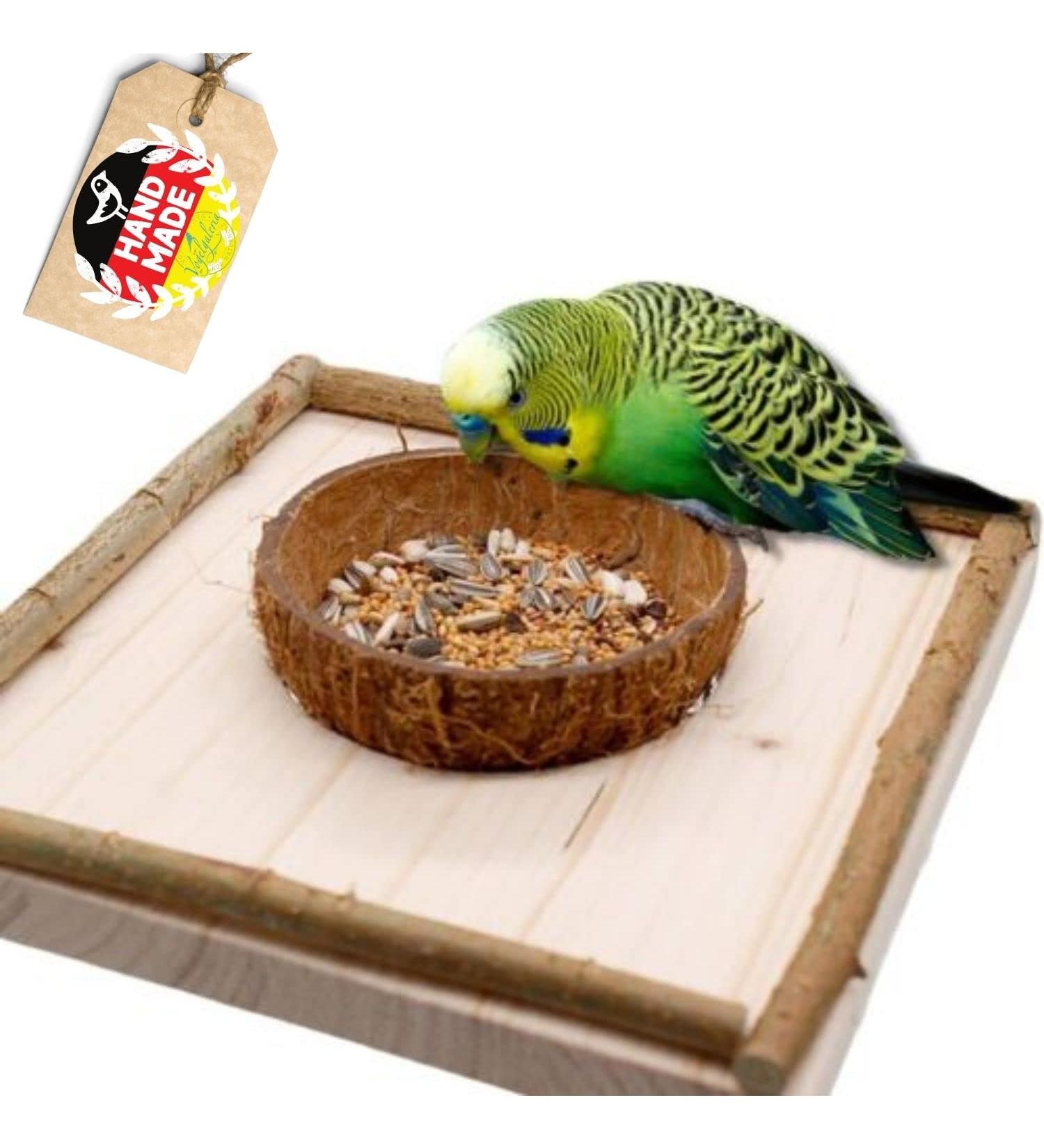 Smart Bird Toy & Feeding Board: Coconut Shell Sitting Board with Removable Bowl - Ideal for Happy Birds - Shop Internationally! - Buy Online on GoSupps.com