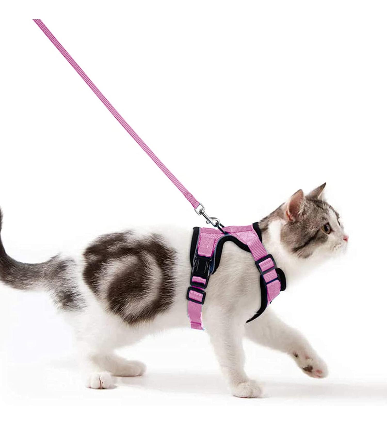 Shop Breakproof Cat Dishes & Adjustable Leash Set - Soft Reflective Kitten Vest for Small Cats (Pink XS) - International Shipping Available - Buy Online on GoSupps.com