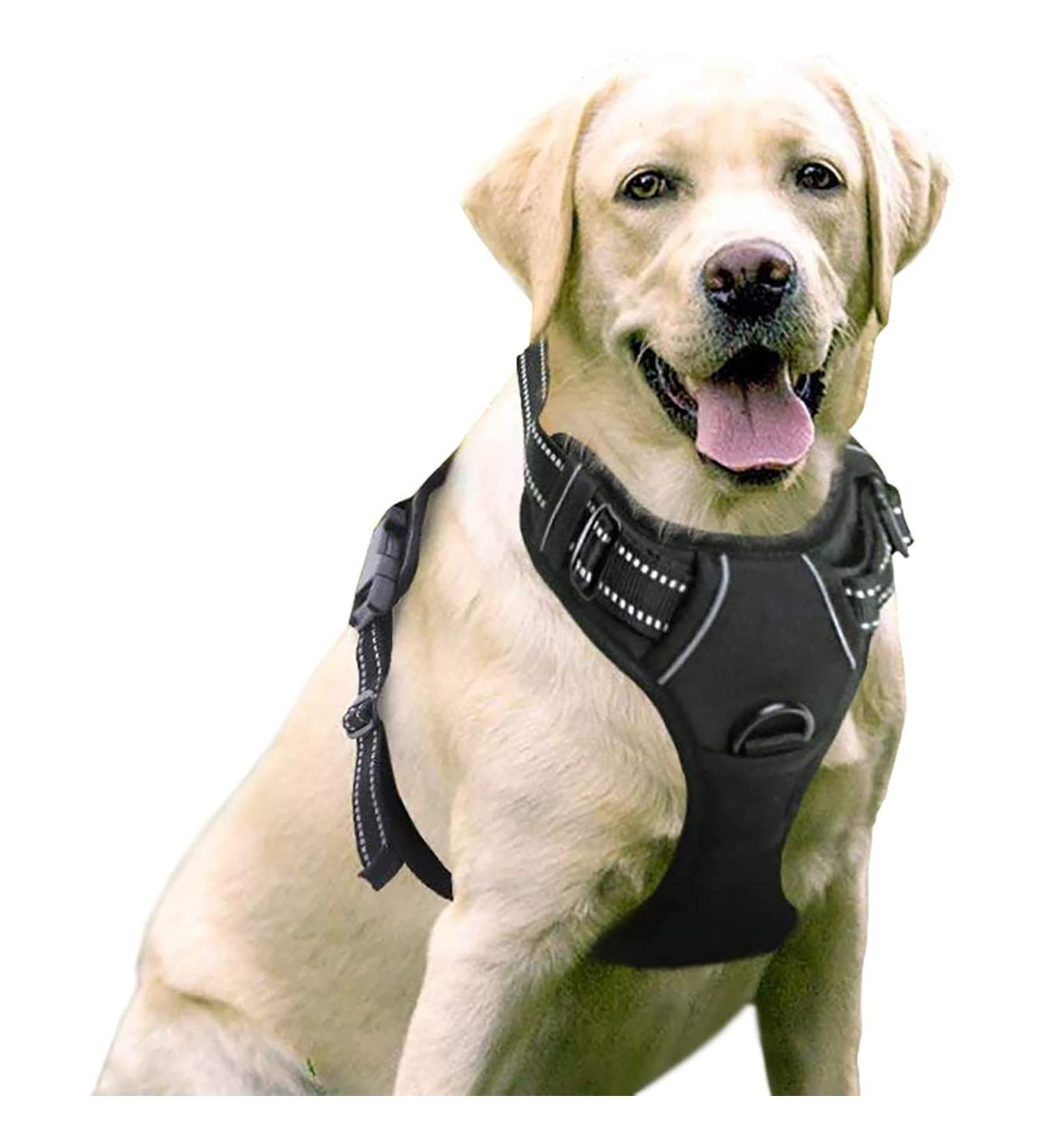 Rabbitgoo No-Pull Dog Harness for Large Dogs - Adjustable Padded Control Chest Harness - Black XL - Safe and Comfortable Puppy Dishes (1 Pack) - Buy Online on GoSupps.com