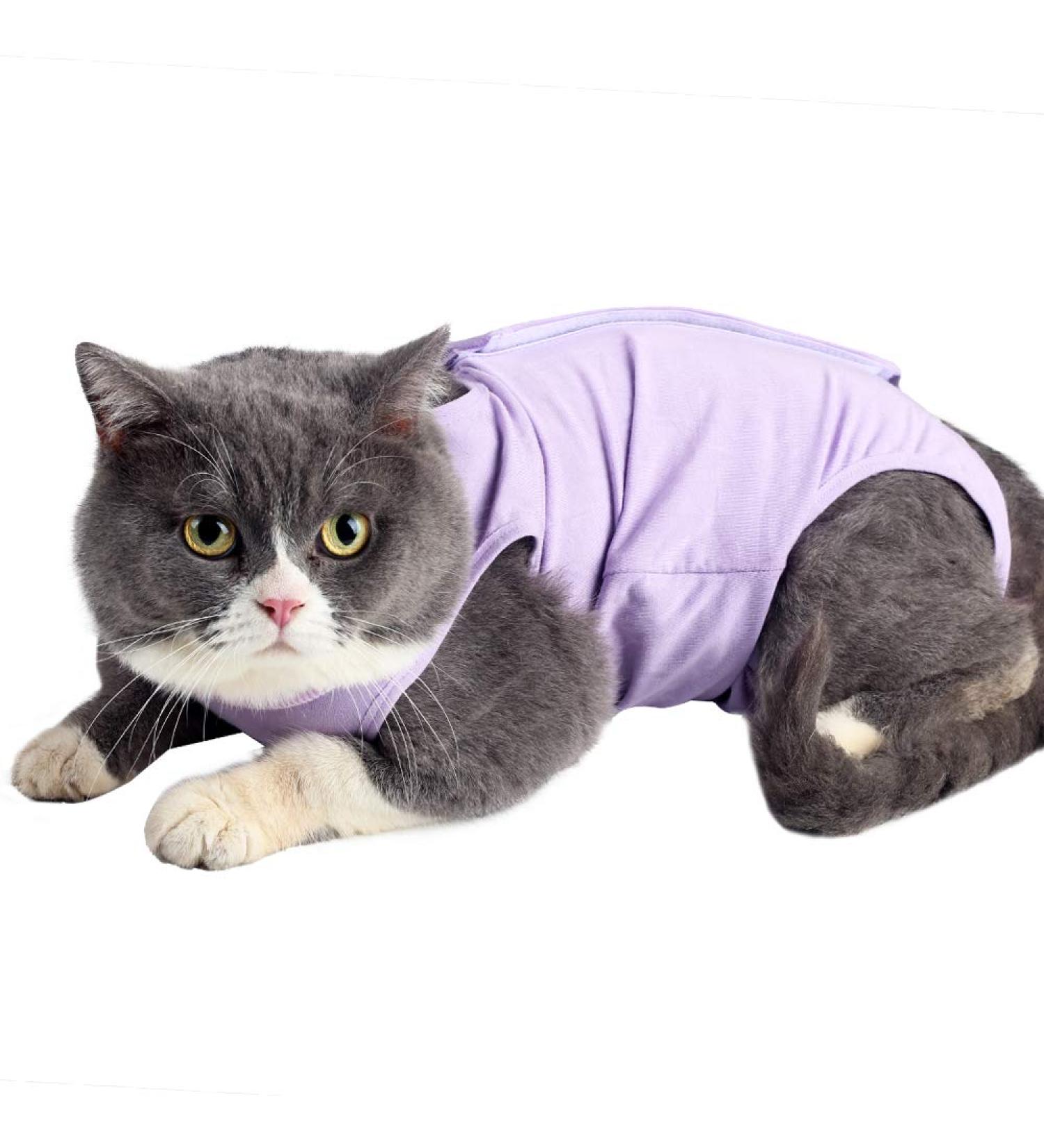 Lianzimau Katzenbody for Post-Op Cats | Anti-Licking Soft Indoor Clothing | E-Neck Band Alternative for Cats & Dogs | Size S - Purple - Buy Online on GoSupps.com