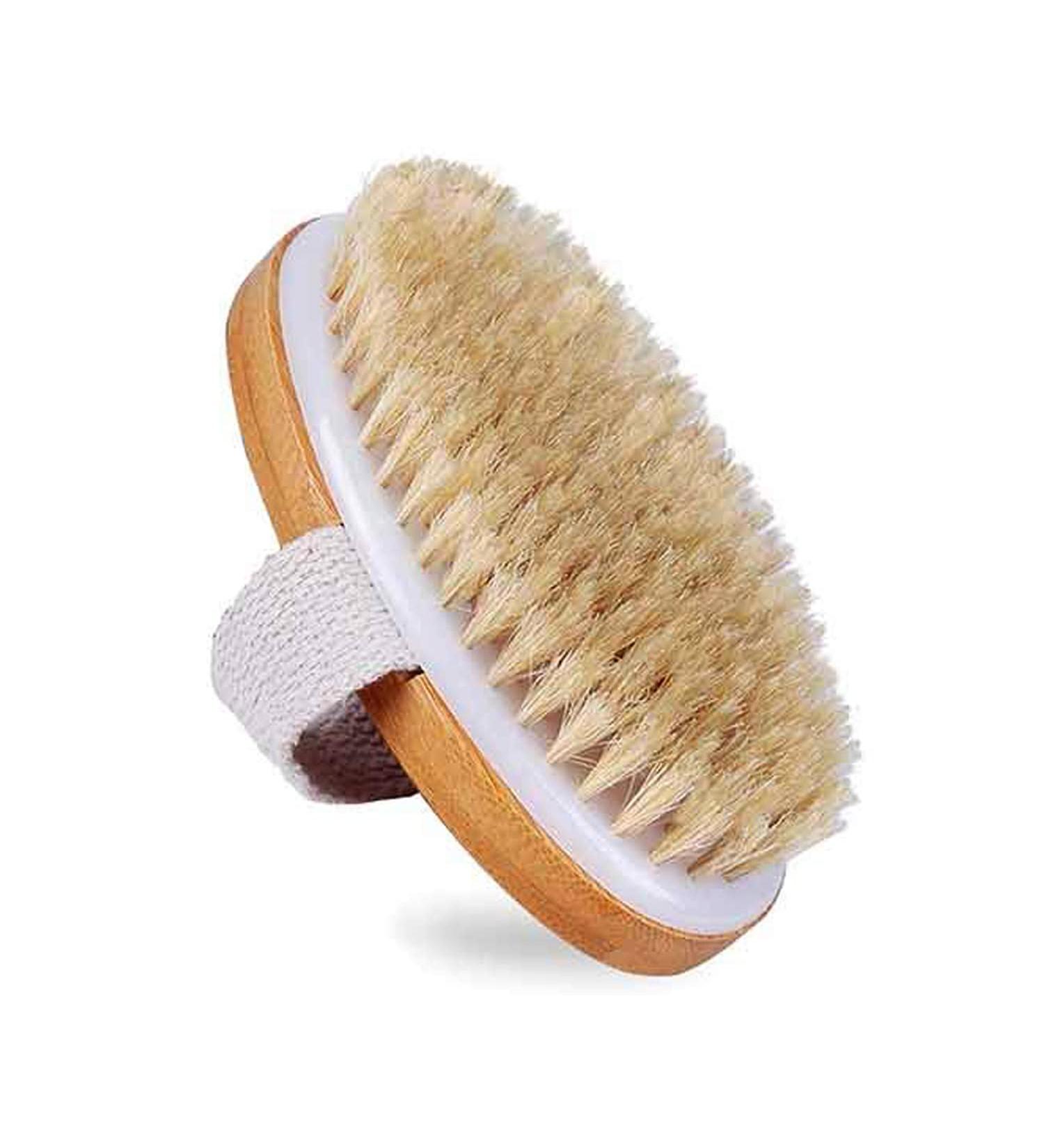 Natural Bristle Dry Brush for Skin Massage and Exfoliation | Lymphatic Drainage and Cellulite Removal | Body Scrubber for Back, Underarms, Legs, and Feet - Buy Online on GoSupps.com