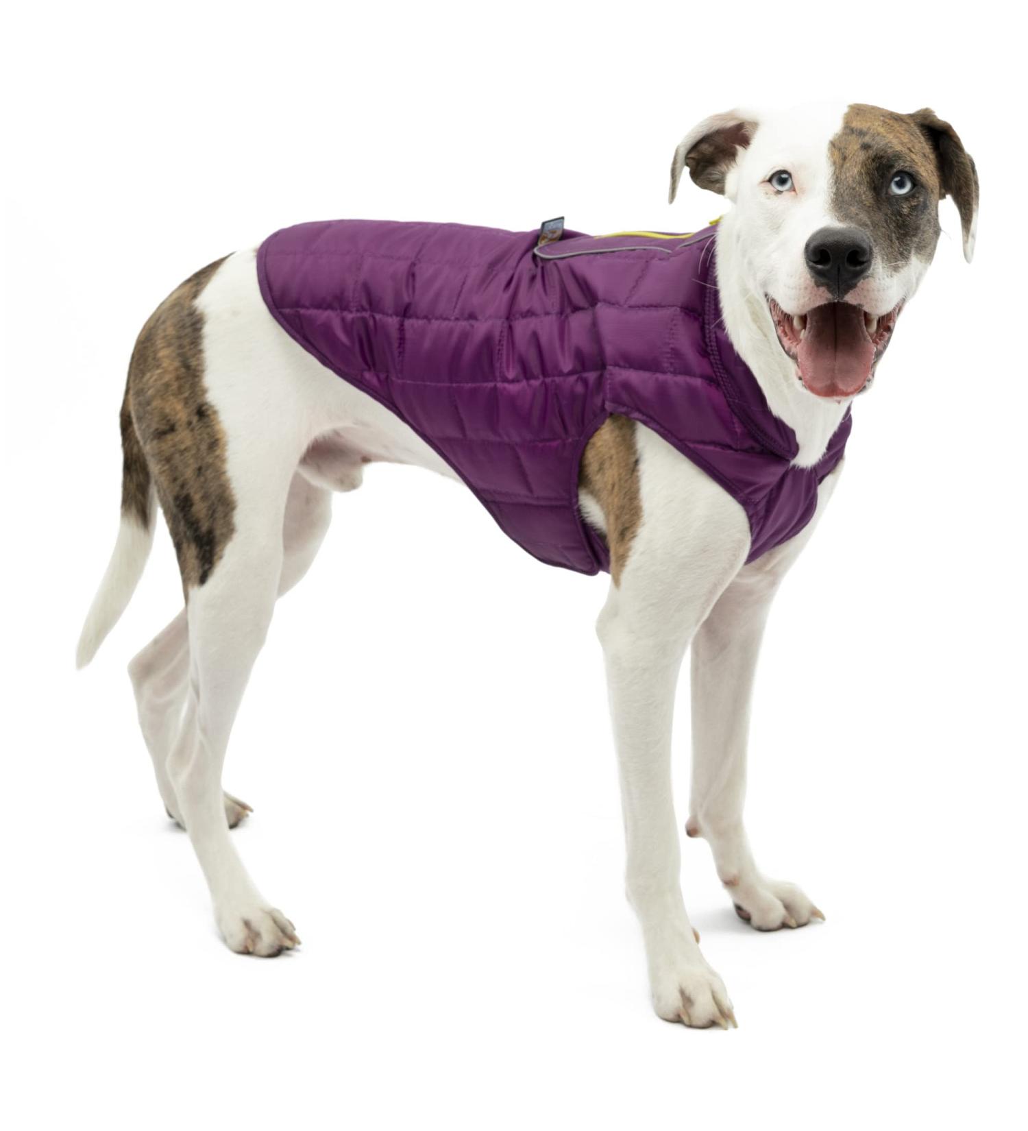 Kurgo Loft Dog Jacket XL - Reversible Fleece Winter Coat - Cold Weather Protection - Reflective Accents - Water Resistant - Deep Violet/Charcoal - Buy Online on GoSupps.com