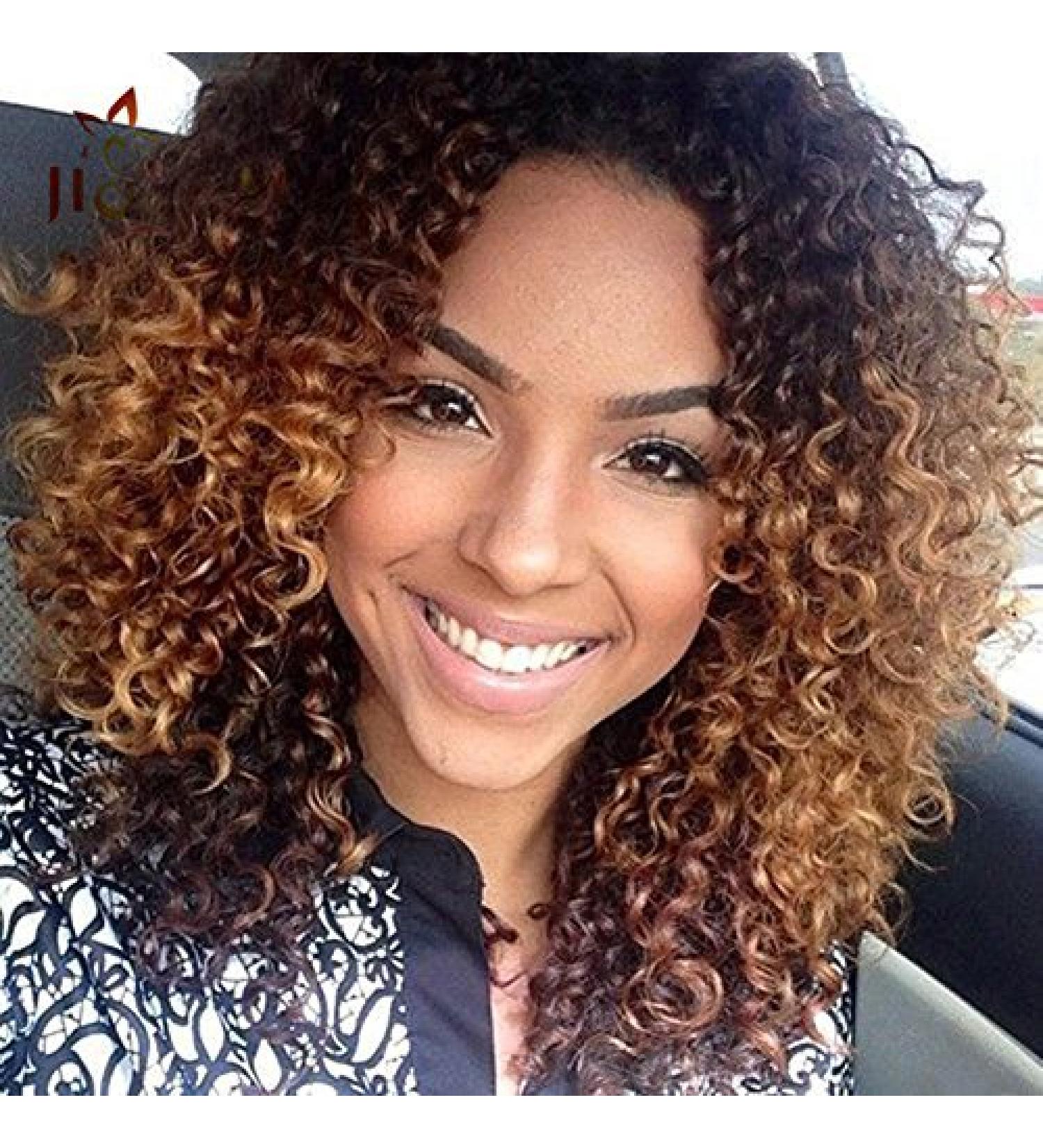 Curly Hair Wigs for Black Women | Natural Kinky Curly Afro Lace Front Wigs | Short Fluffy Wavy Human & Synthetic Options - Buy Online on GoSupps.com
