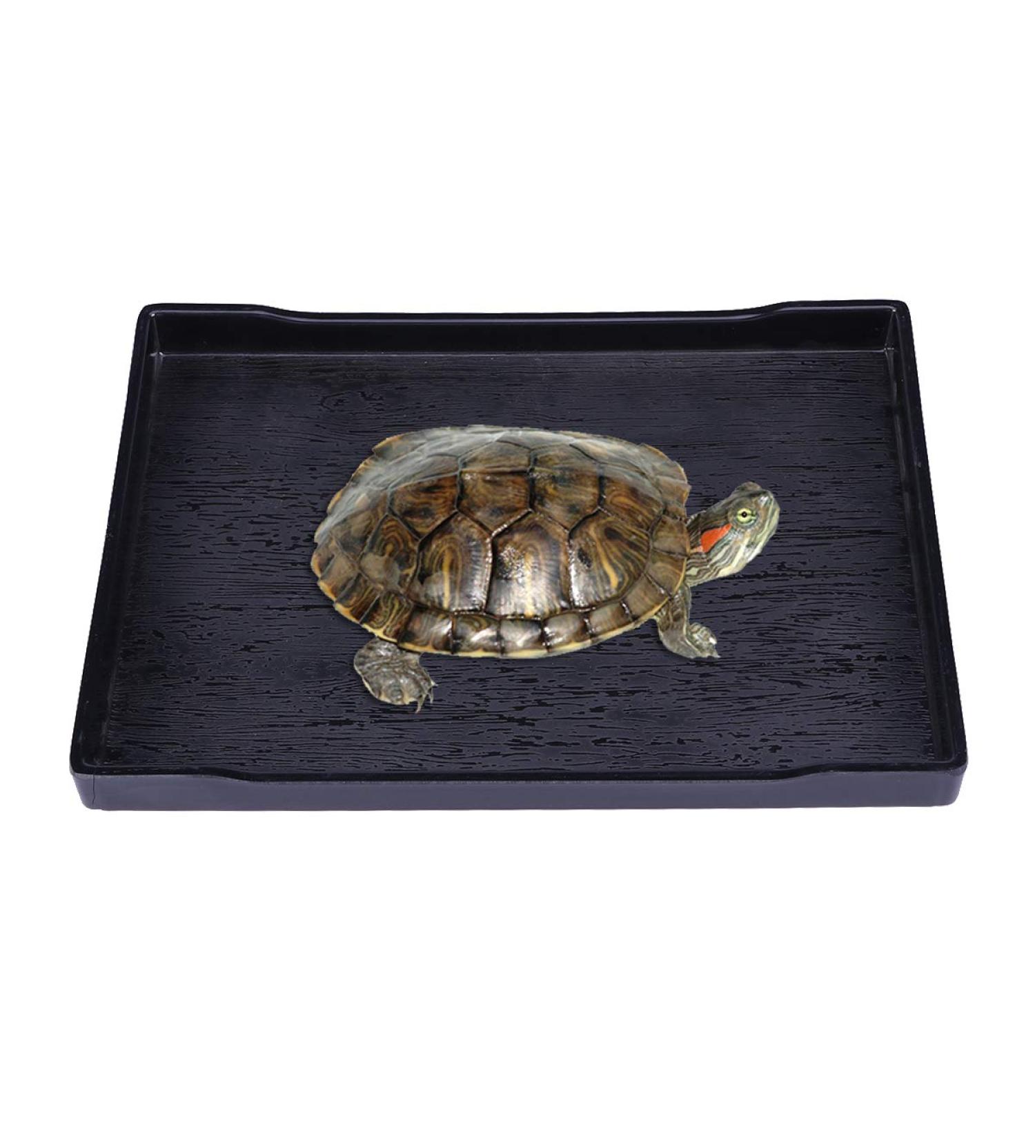 Reptile Food and Water Bowl-Large Reptile Water Dish Also Fit for Bath- Shallow Water Dish for Reptiles- Large Size (Black) Size 1 - Buy Online on GoSupps.com