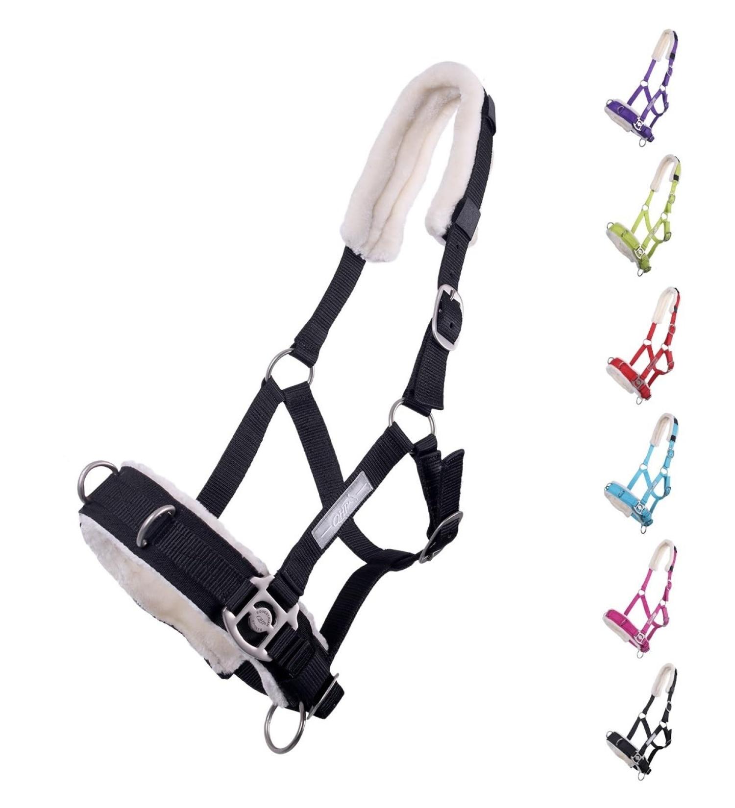 Netproshop Cavesson Lunging Aid for Shetty Pony Cob | Black - Ideal Groundwork Tool - Buy Online on GoSupps.com