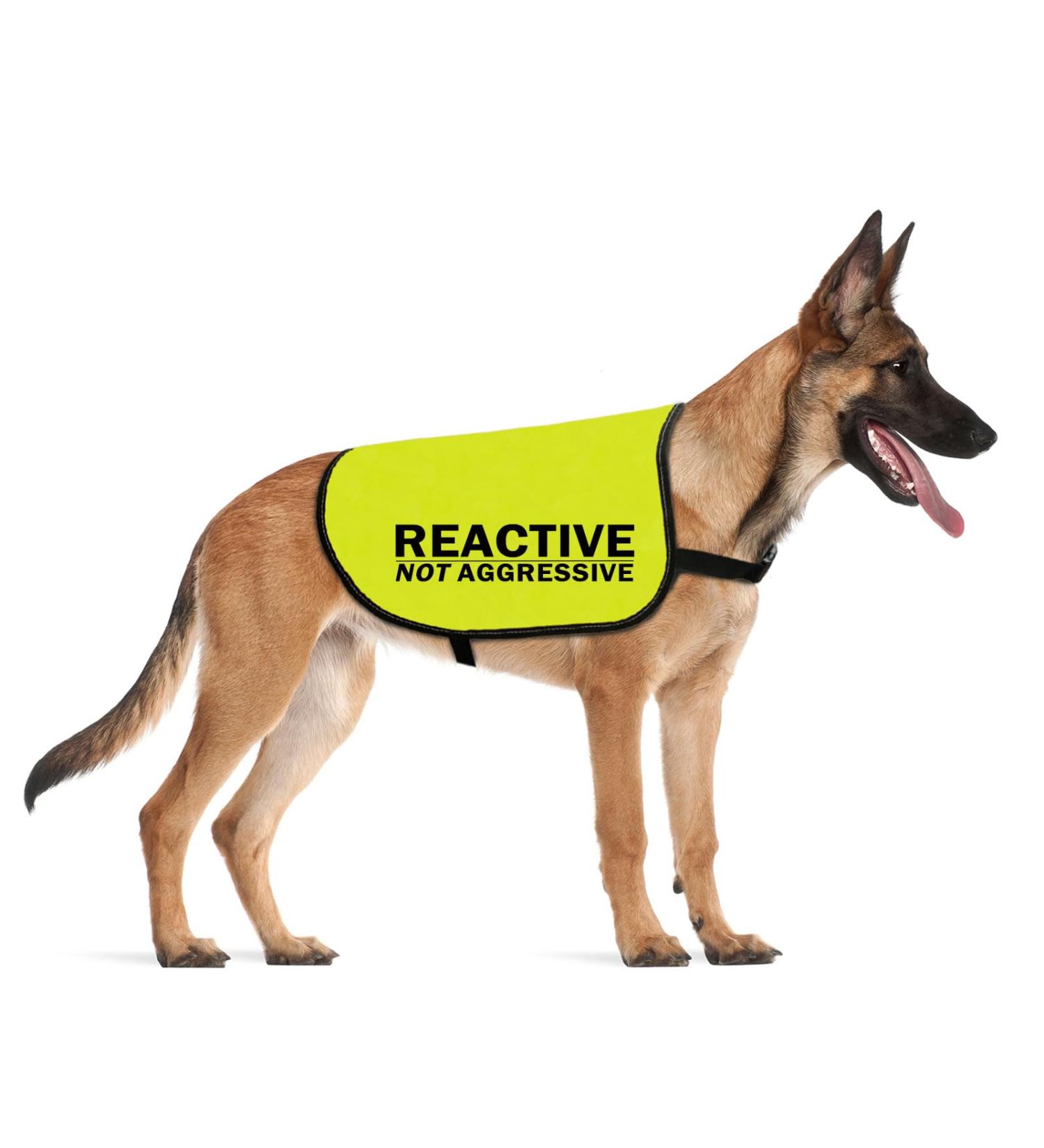 CENWA Reactive Dog Jacket Vest Dog Reactive Dog Training/Reactive Not Aggressive Service Dog Slogan Warning Vest (Reactive Not Aggressive L EU) - Buy Online on GoSupps.com