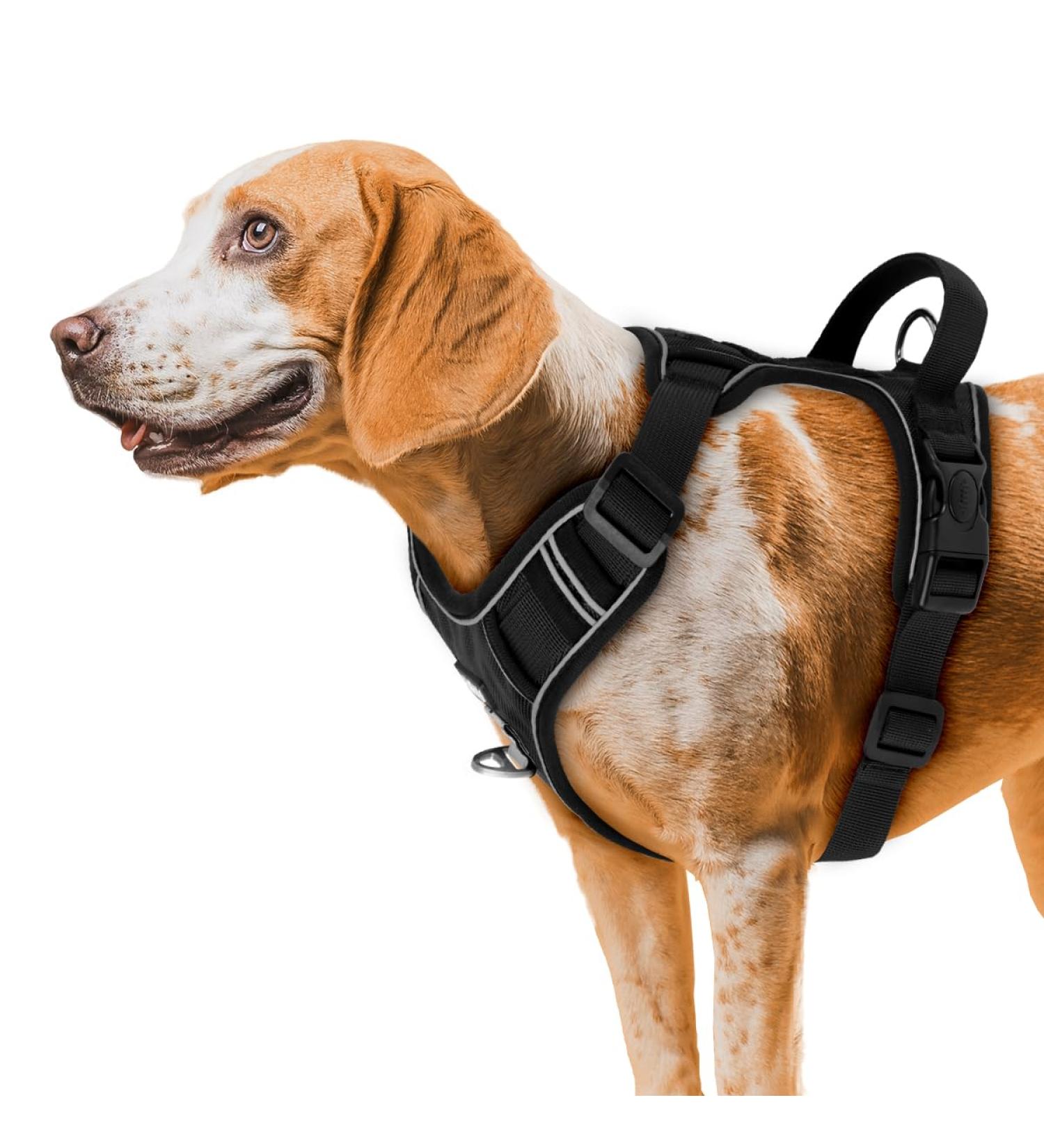 Etaccu No-Pull Dog Harness - Adjustable Breathable Reflective Safety Harness for Medium Dogs - Comfort & Control Black L - Buy Online on GoSupps.com