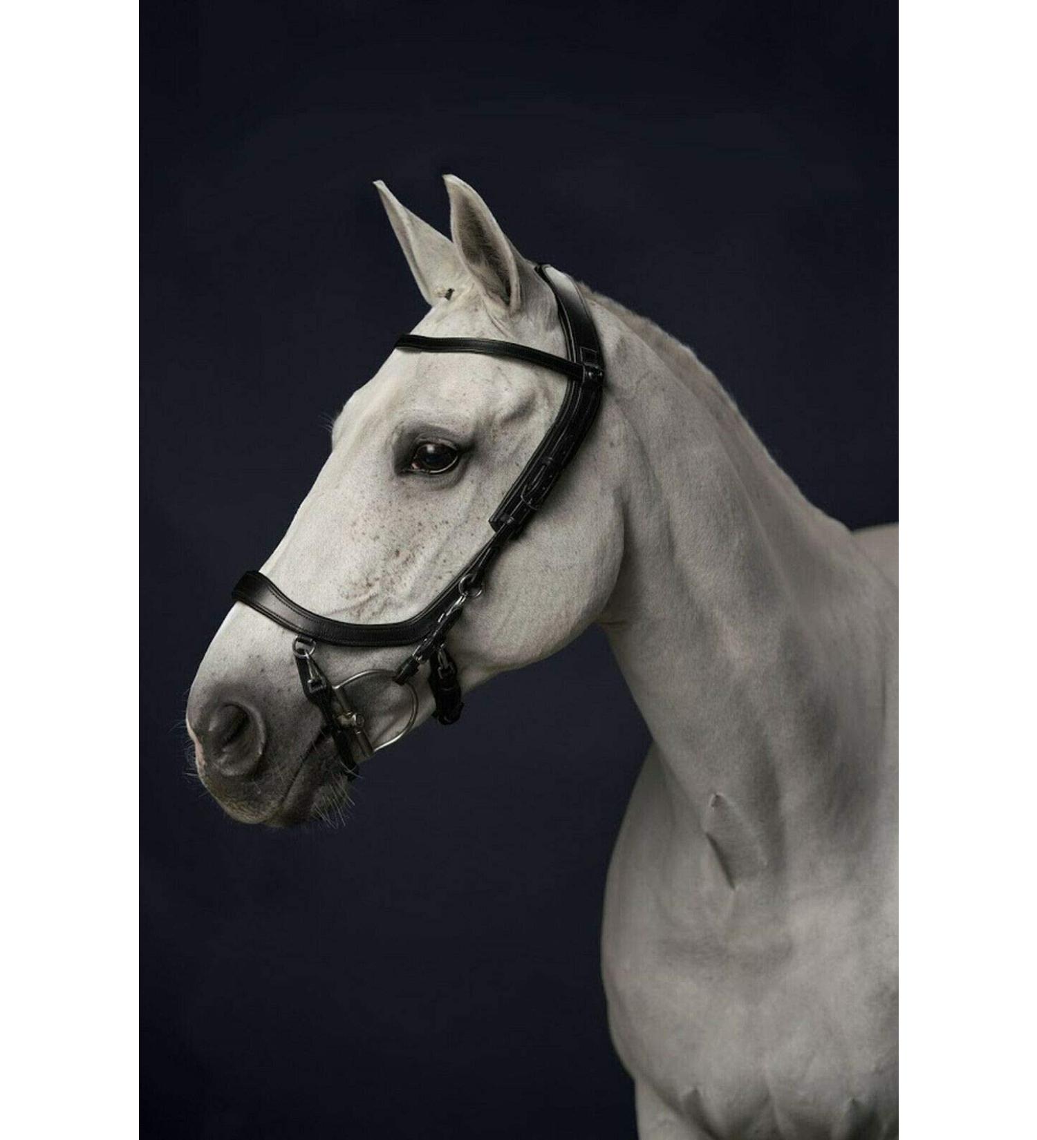 Buy PresTeq FaySport Snaffle Bridle Black Cob - Premium Equestrian Gear for International Shipping - Buy Online on GoSupps.com