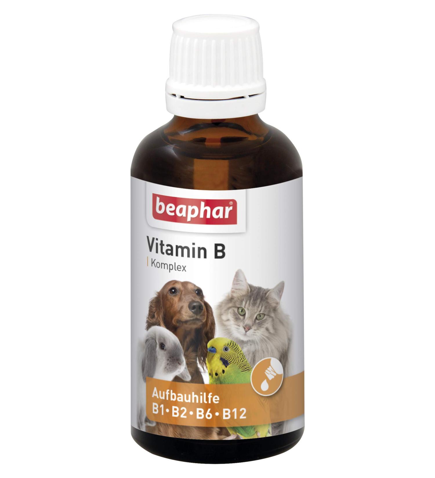 Beaphar Vitamin B Complex for Dogs Cats & Birds | Immune Support & Well-Being | 50ml - Buy Online on GoSupps.com