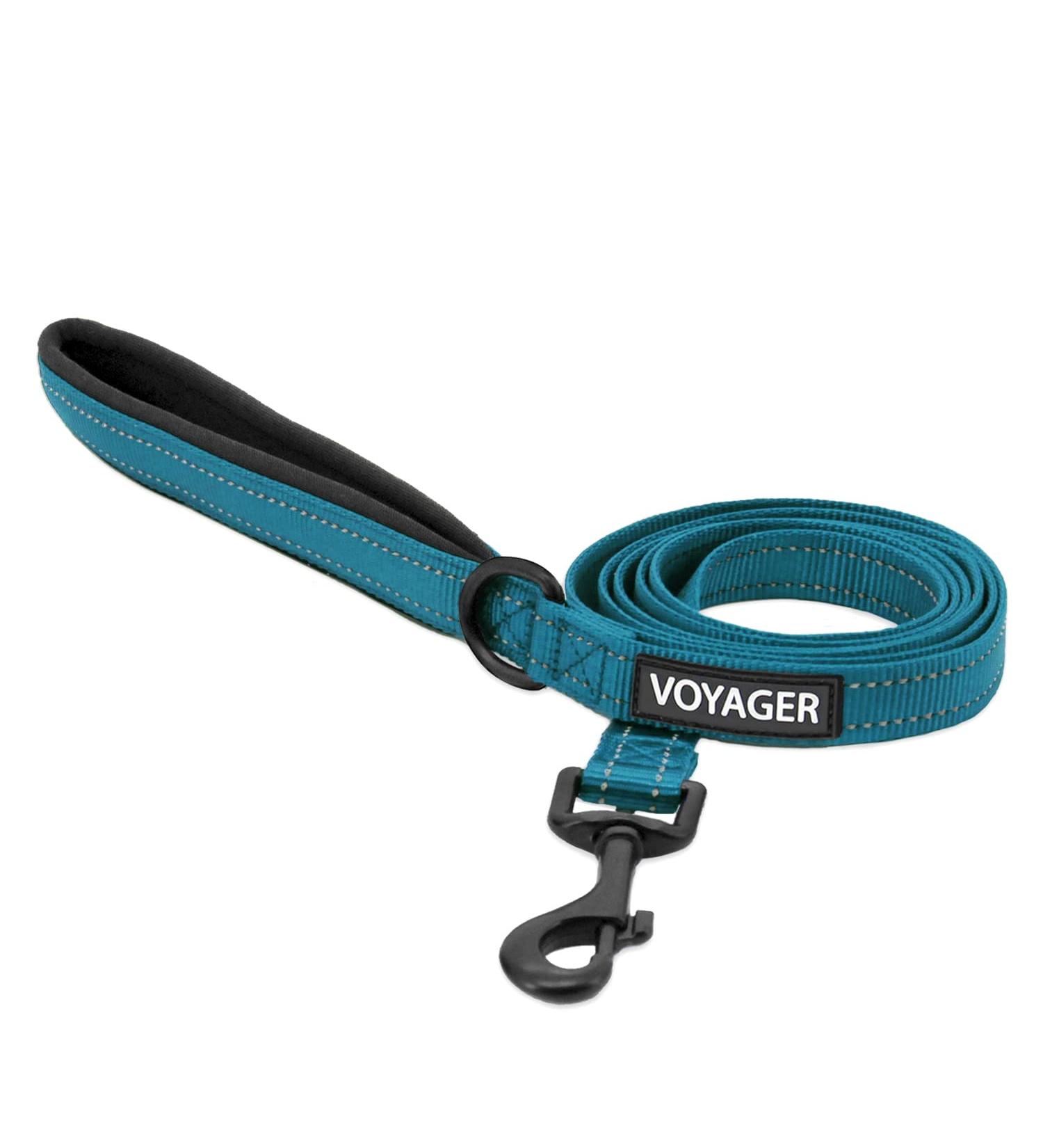 Reflective Dog Leash with Neoprene Handle - 5ft Turquoise | Durable & Safe - Buy Online on GoSupps.com