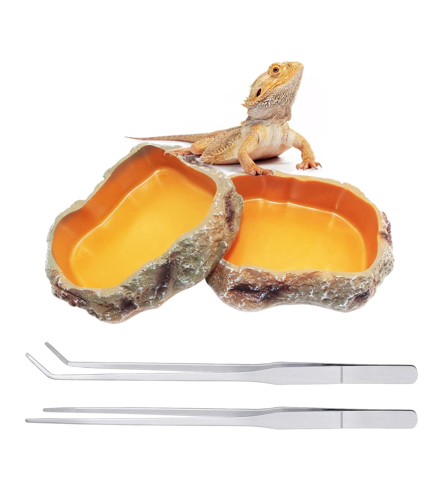 Reptile Growth 4 Pieces Reptile Water Dish Food Bowl Set includes 2 Food Feeder Bowl Resin Reptile Bowl Water Bowl 2 Feeding Tweezer Reptile Rock Feeder for Tortoise Lizard Frog Gecko Snake Chameleon - Buy Online on GoSupps.com