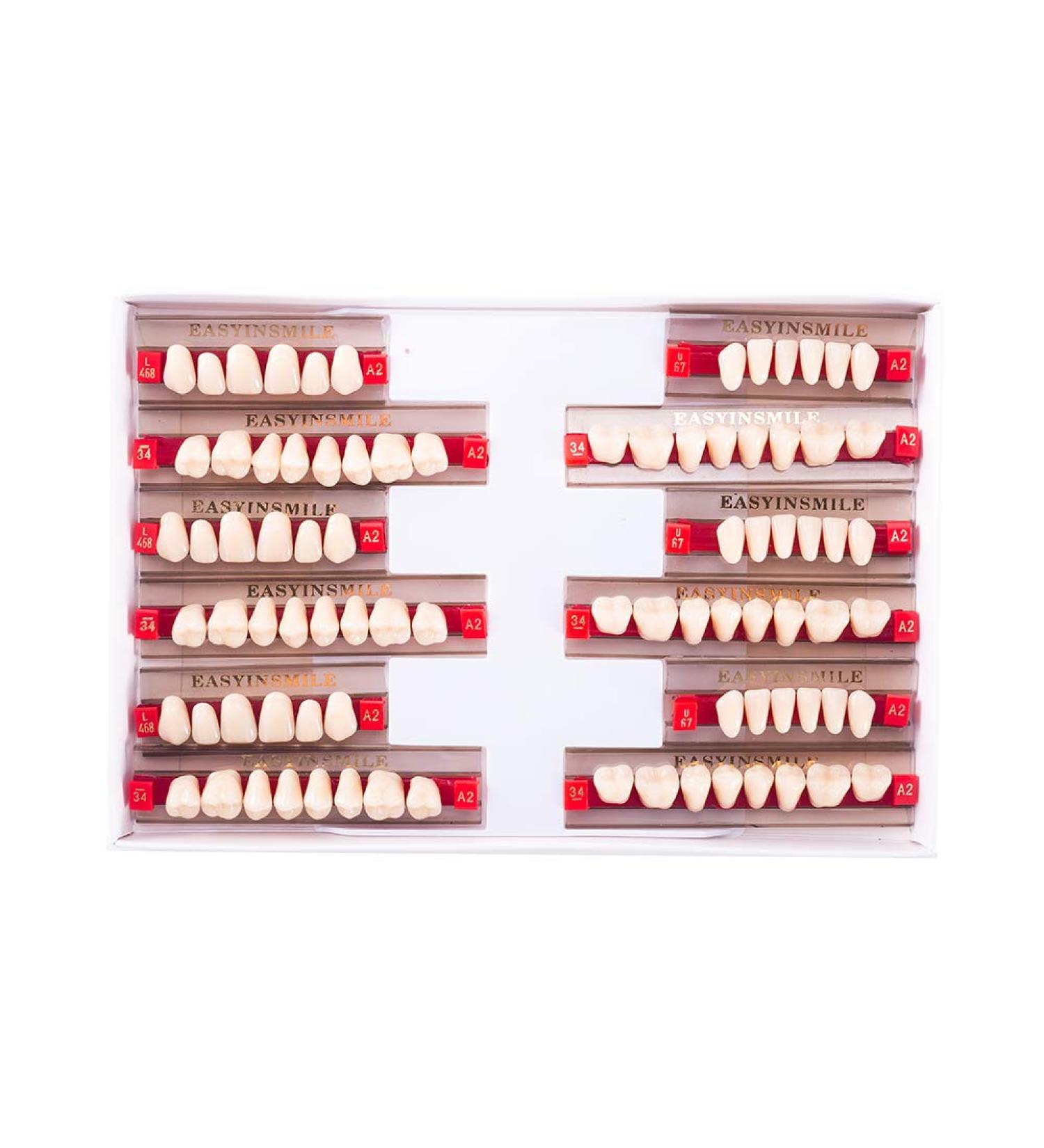 Buy A2 A3 Dental Synthetic Resin Teeth - False Upper & Lower Dentures | Halloween Costume Accessory | Full Set 468+U67+34 - Buy Online on GoSupps.com