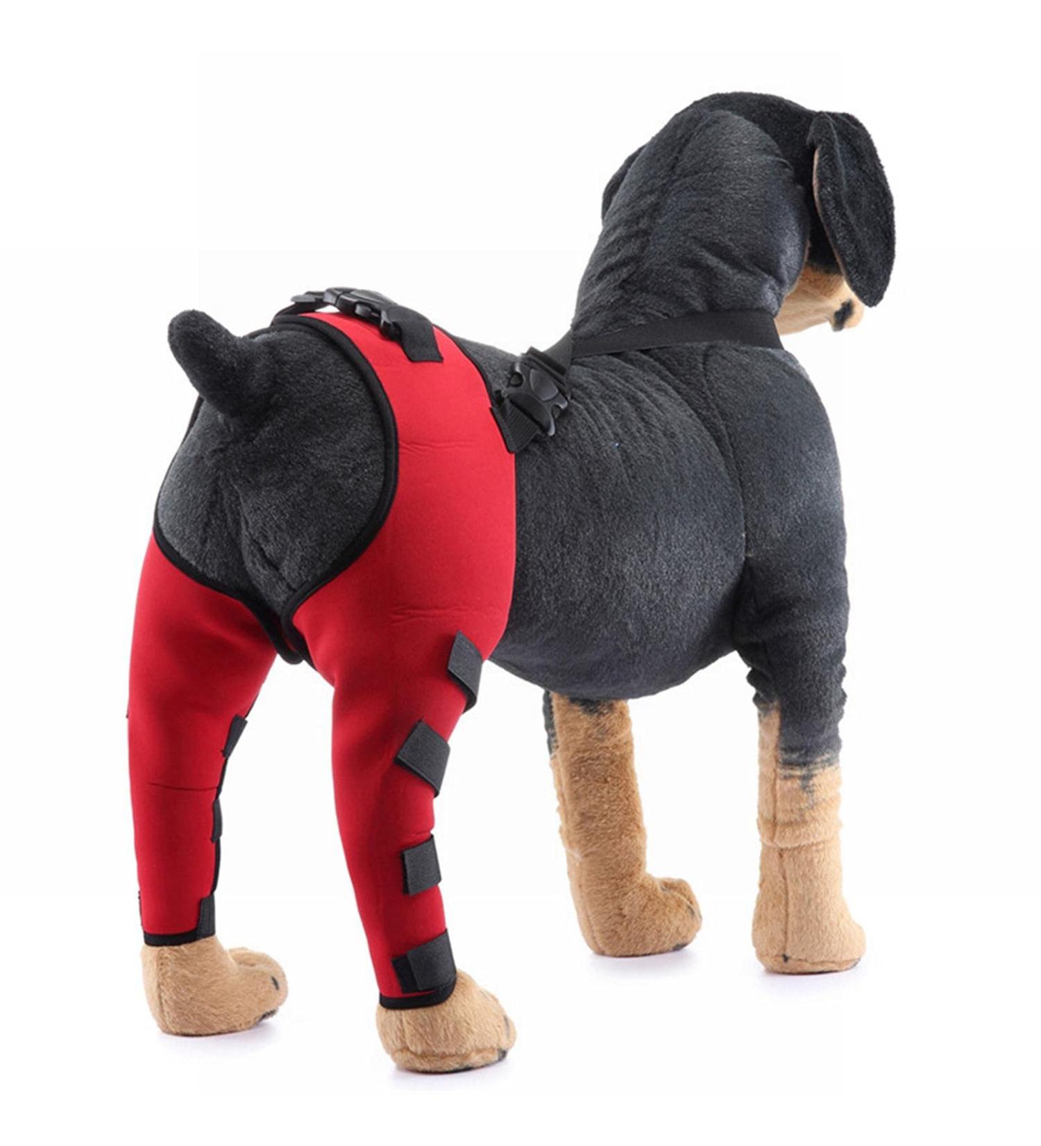 Dog Knee Brace Pet Dog Hind Leg Brace Support Belt Pet Dog Double Hind Leg Brace Support Belt for Heals Prevents Injuries Sprains Protects Wounds. A Medium - Buy Online on GoSupps.com