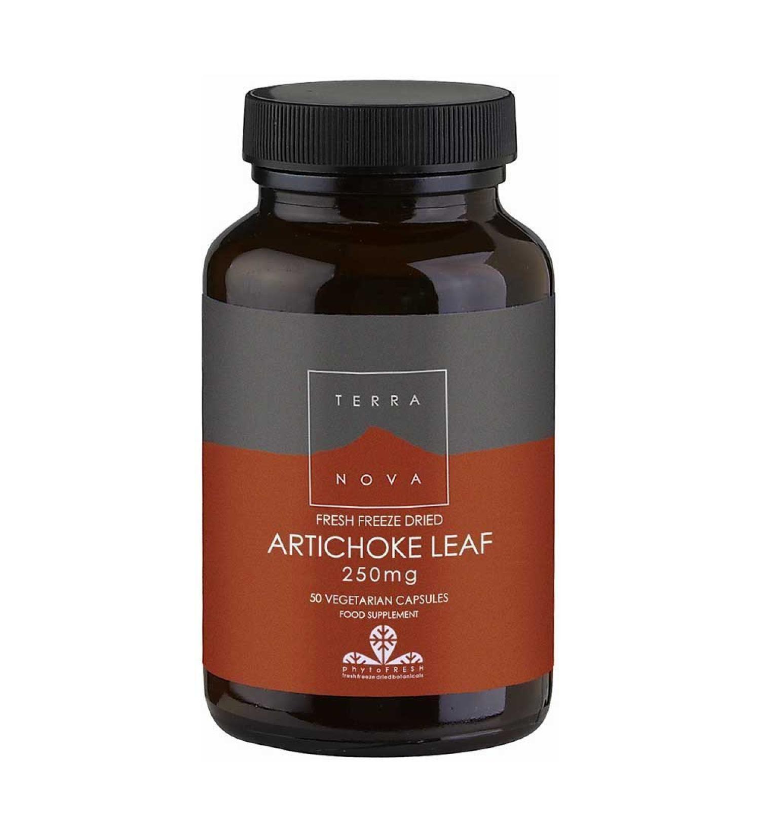 Artichoke Leaf 250mg - 50 caps