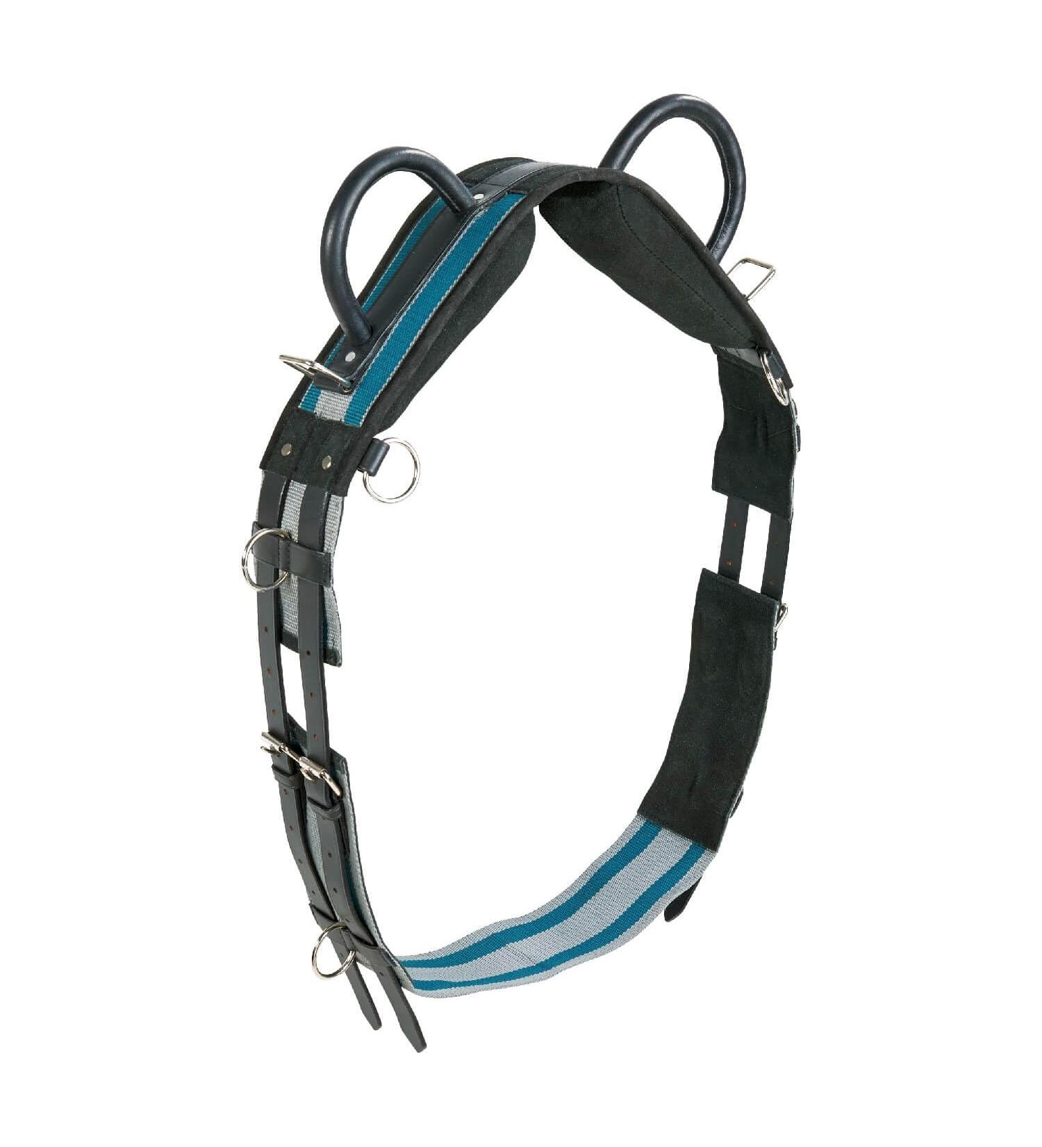 Lunging Girth Double Warmblood grey/teal green