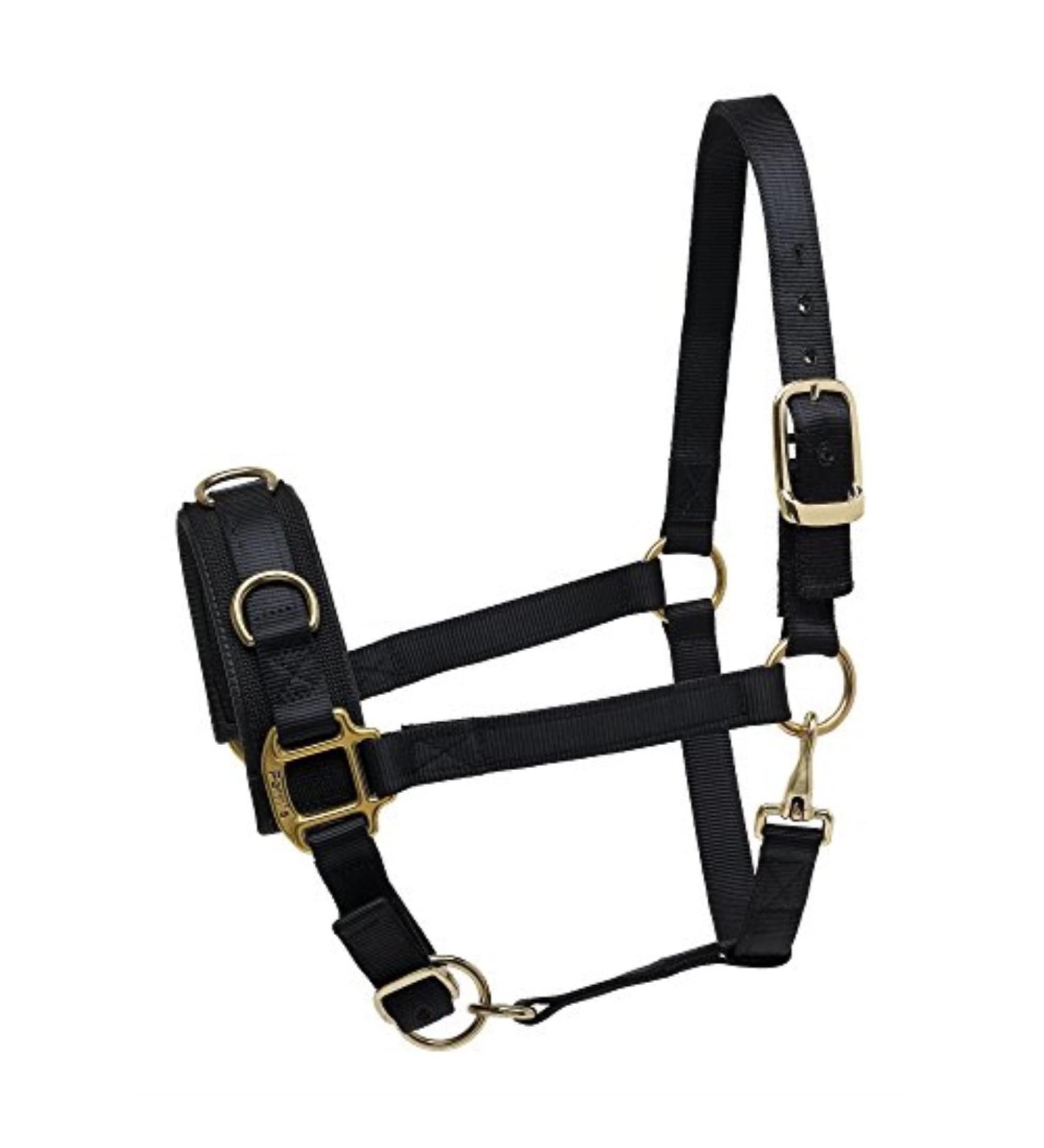 Perri's Nylon Lunge Caveson, Black Horse