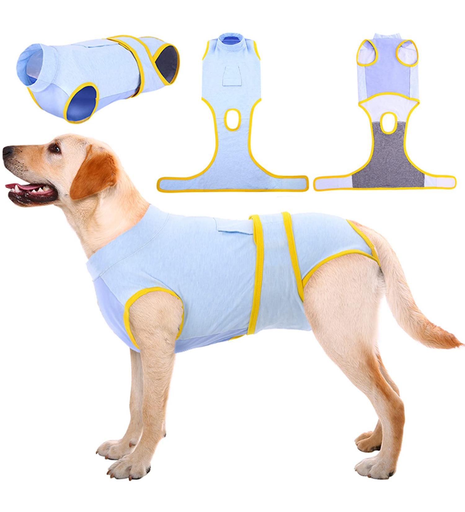 Kuoser Breathable Dog Recovery Suit for Male & Female Post-Op - Anti-Wound Licking Leakage Protection Light Blue (1 Pack) - Buy Online on GoSupps.com