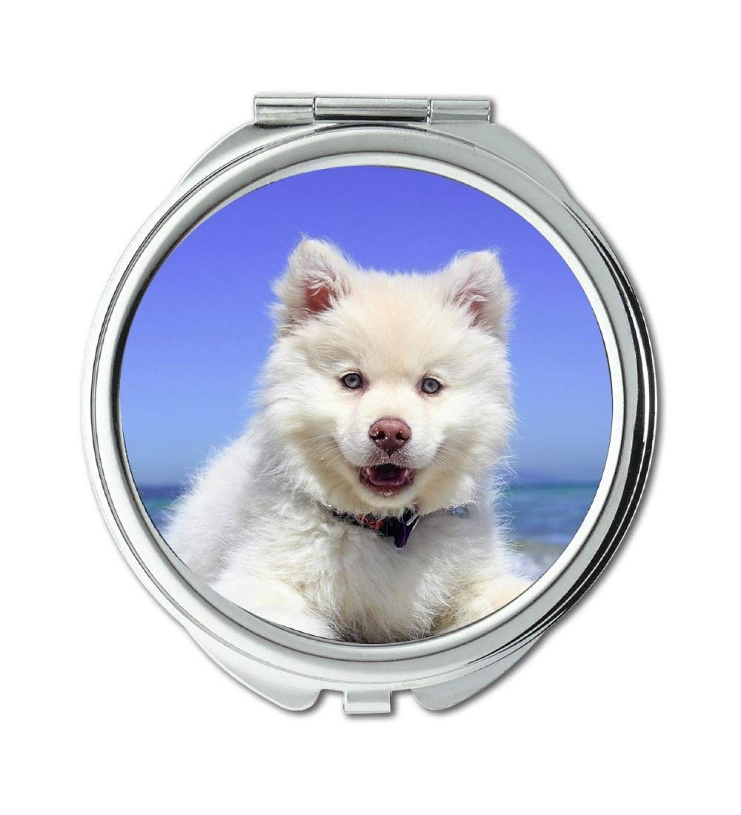 YENDOSTEEN Mirror Travel Mirror Beach Puppy Dog Finnishlapphund Animal Summer pocket mirror portable mirror - Buy Online on GoSupps.com
