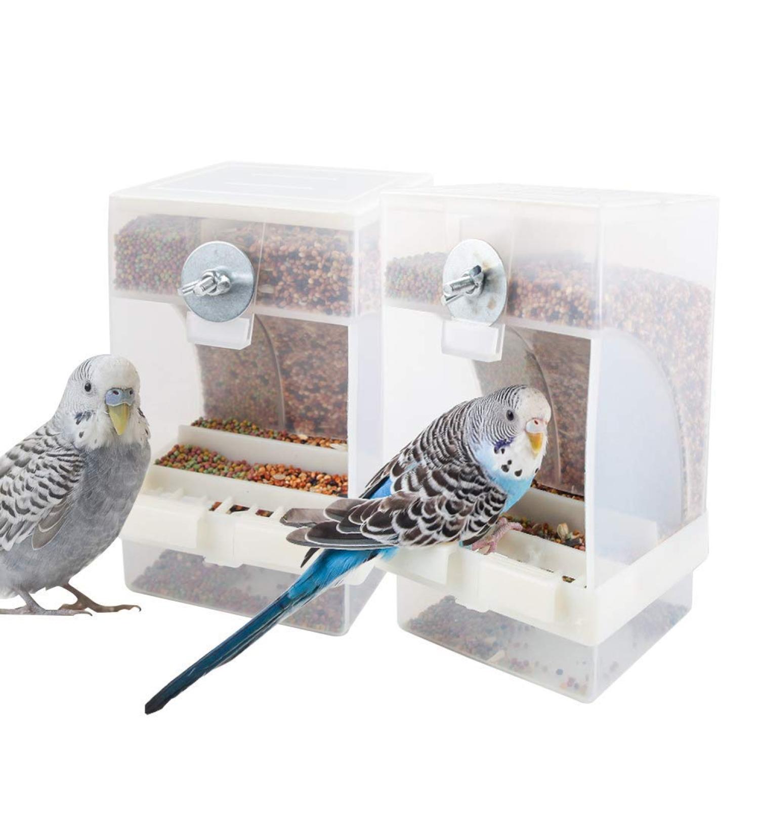 PINVNBY No-Mess Bird Feeder for Parrots - Seed Food Container with Perch - Ideal for Budgerigar, Canary, Cockatiel, Finch, Parakeet, and More - Buy Online on GoSupps.com
