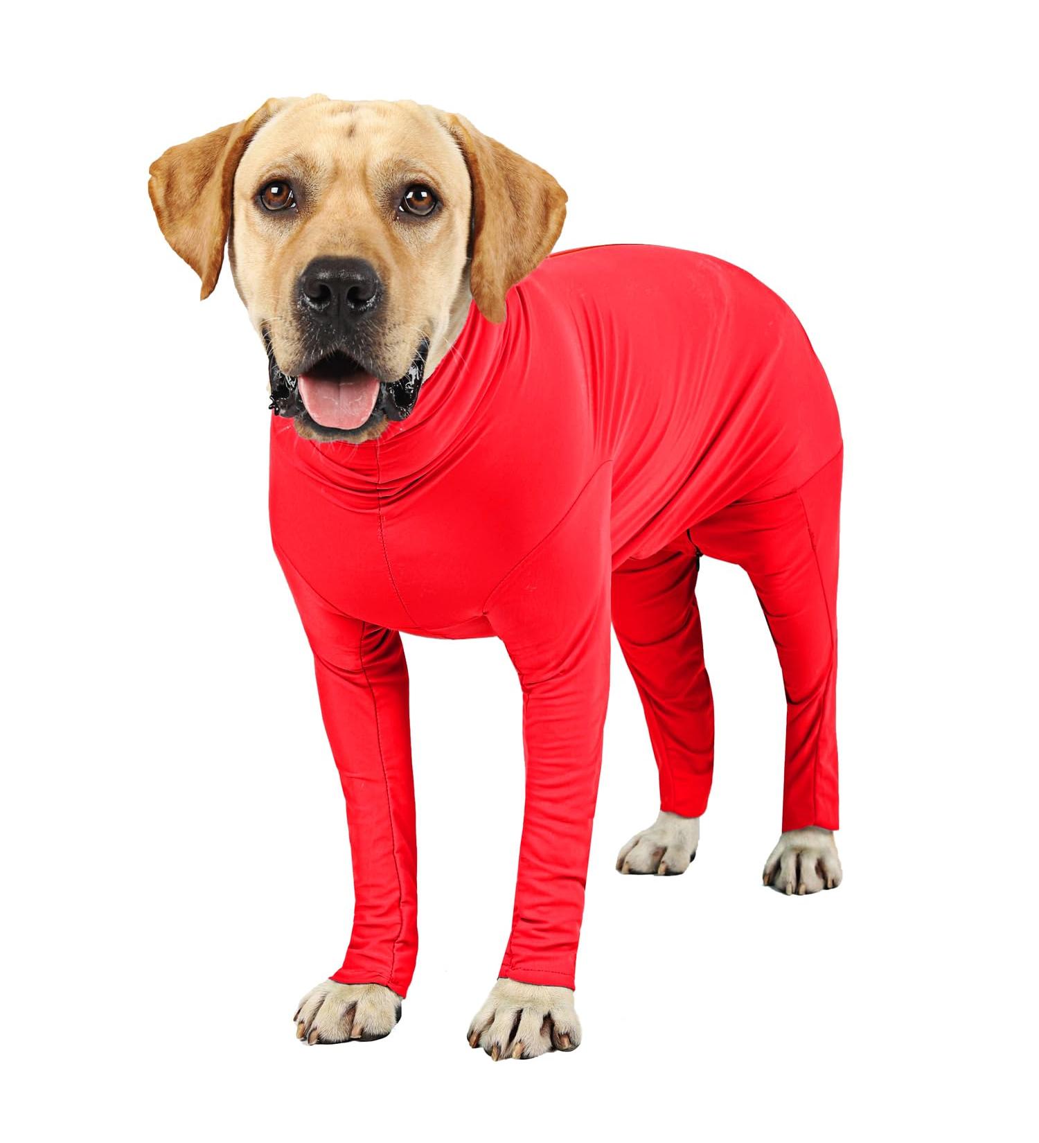 ETDANE Disches: Surgical Recovery Suit for Dogs Long-Sleeved Anti-Failure Pajamas in XL/XXL | Ideal for Female & Male Dogs - Orange-Red - Buy Online on GoSupps.com