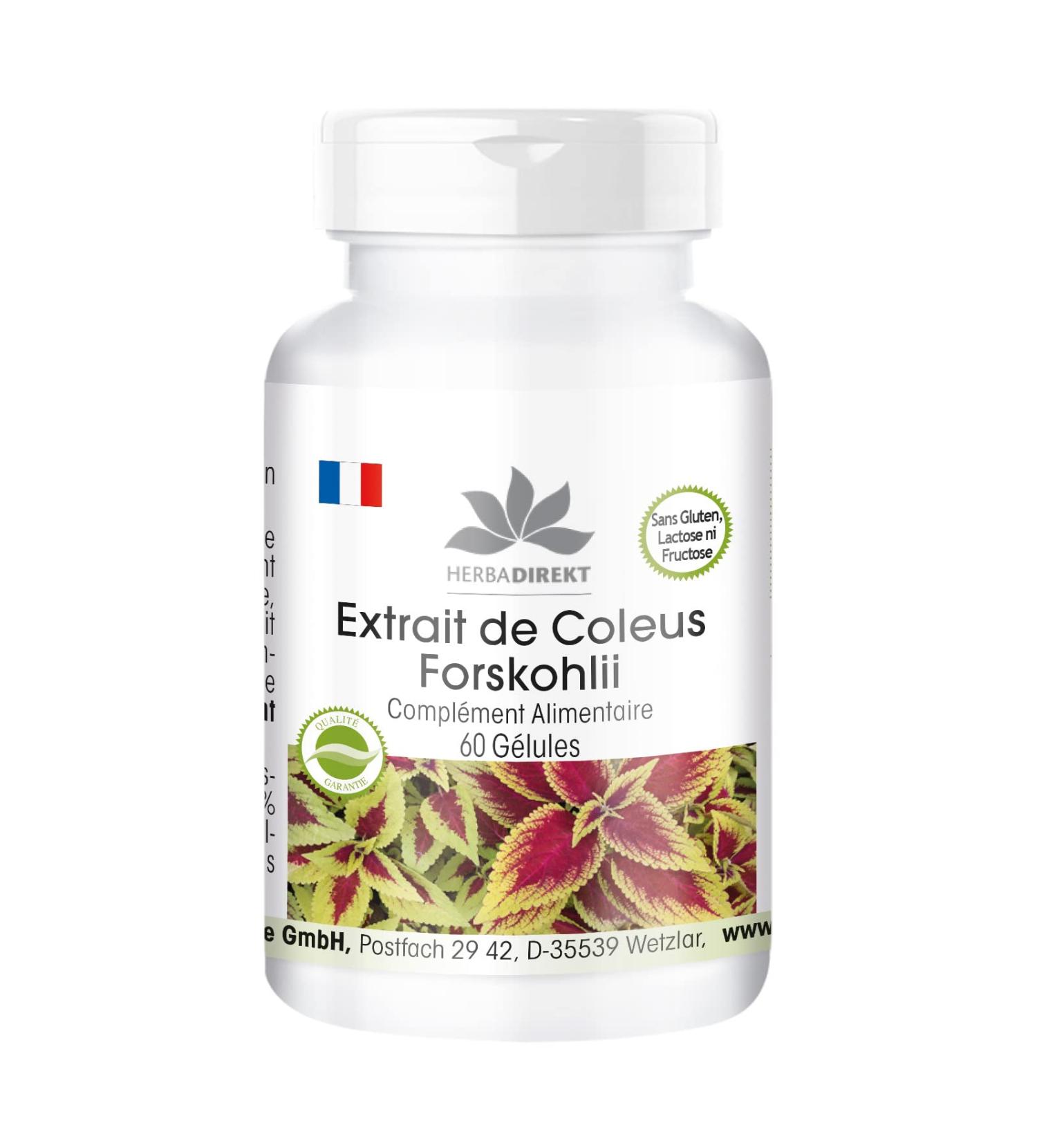 Forskolin - with 50mg of Coleus Forksholi Extract - 60 Capsules | herba direkt - Quality from German Pharmacies - Buy Online on GoSupps.com