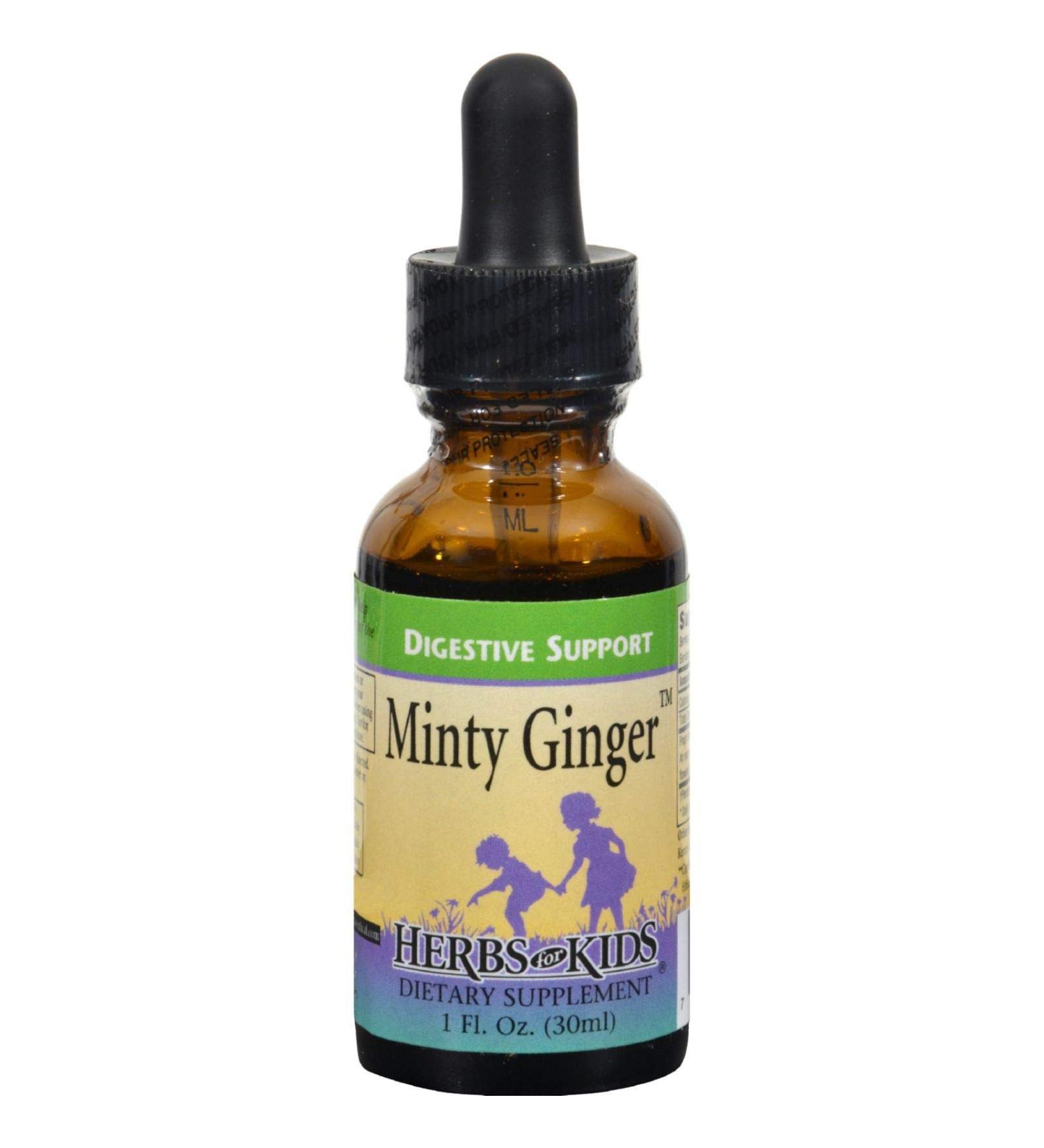 Herbs for Kids Minty Ginger - 1 fl oz