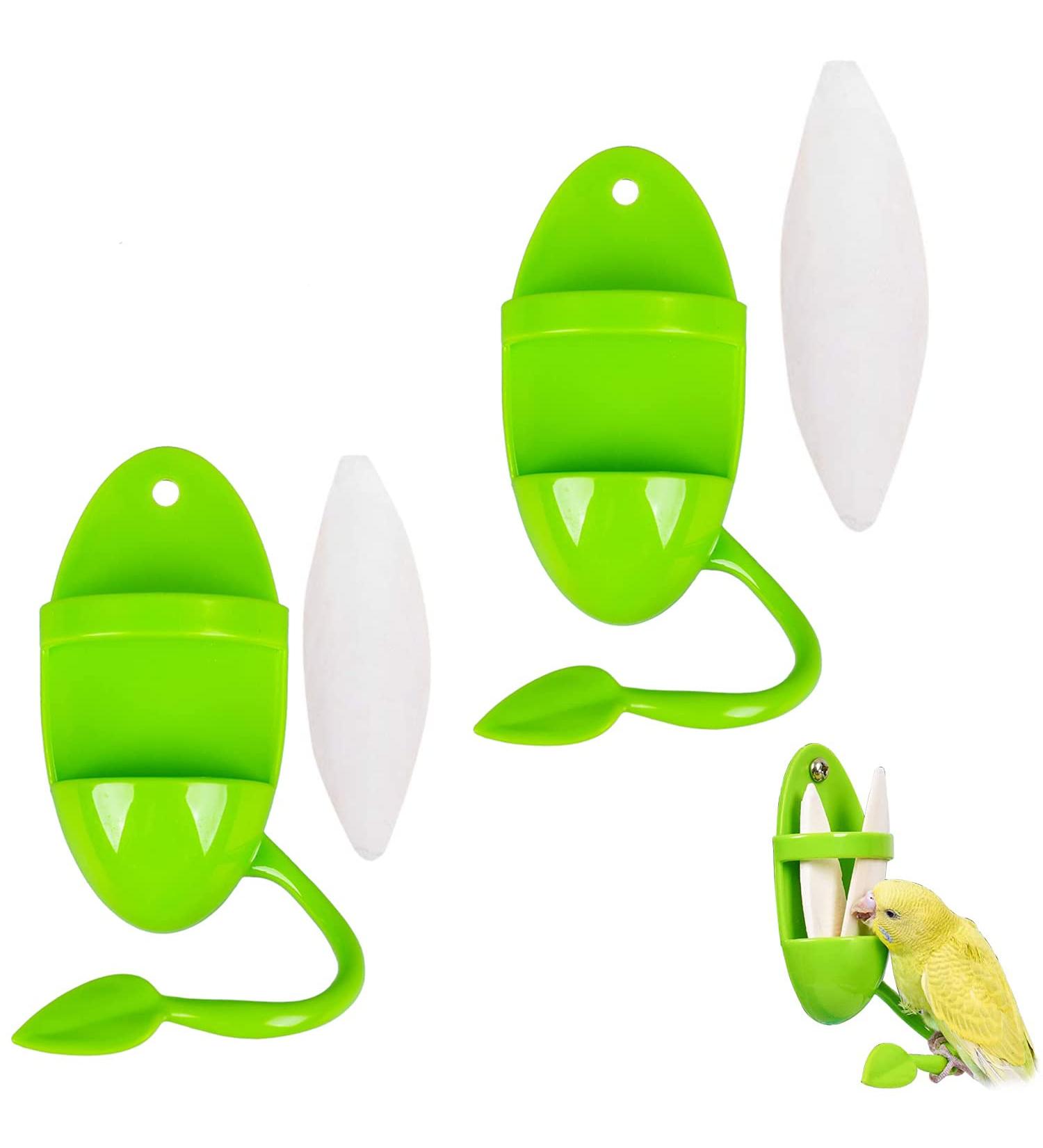 Cuttlebone 2 Pack Large Cuttlefish Bone with Holder for Birds Cockatiels Parakeet Turtles Tortoise Snails (Color AB) green - Buy Online on GoSupps.com