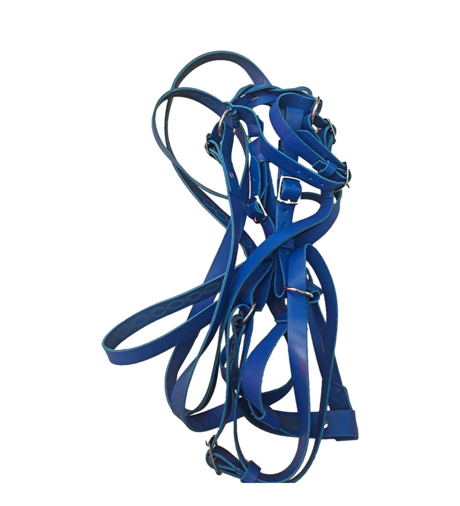 Halter Horse Safety Halter Chin & Throat Snap Heavy Duty Tied Halter | Padded Nylon Colorful Comfortable Horse Halter for Horse Care Training Equestrian Dalian Blue - Buy Online on GoSupps.com