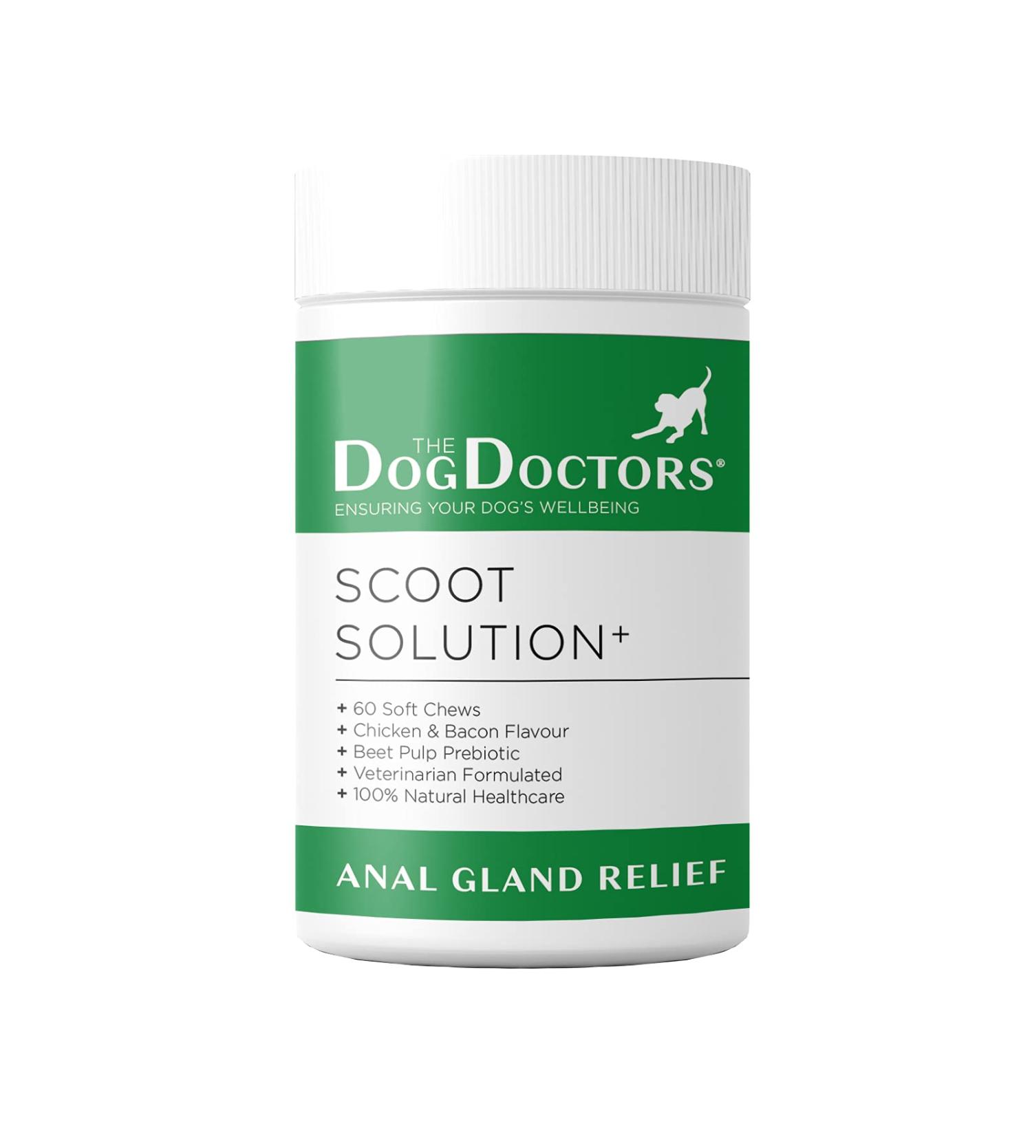 The Dog Doctors Scoot Solution Soft Chews - Ideal Pro Fibre Treat Which Helps Eliminate Scooting and Improves Dog Gland Health. (60 Chews new) 60 count (Pack of 1) - Buy Online on GoSupps.com