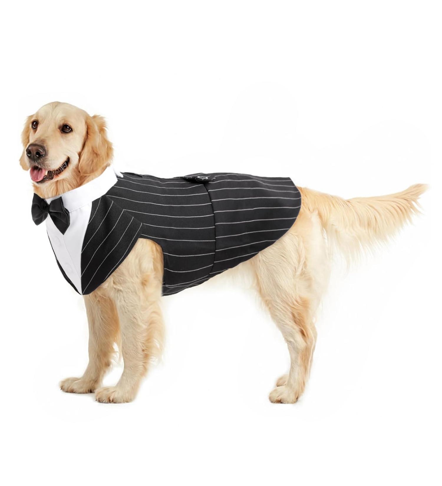 Buy Dog Tuxedo: Stylish Smoking Wedding Outfit for Small to XXL Dogs - Perfect for Special Occasions! - Buy Online on GoSupps.com
