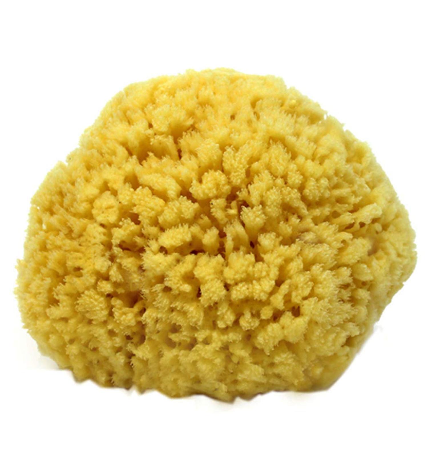Spa Destinations Natural Sea Sponge Small 4-5 - The Ultimate Bath and Shower Experience - Buy Online on GoSupps.com