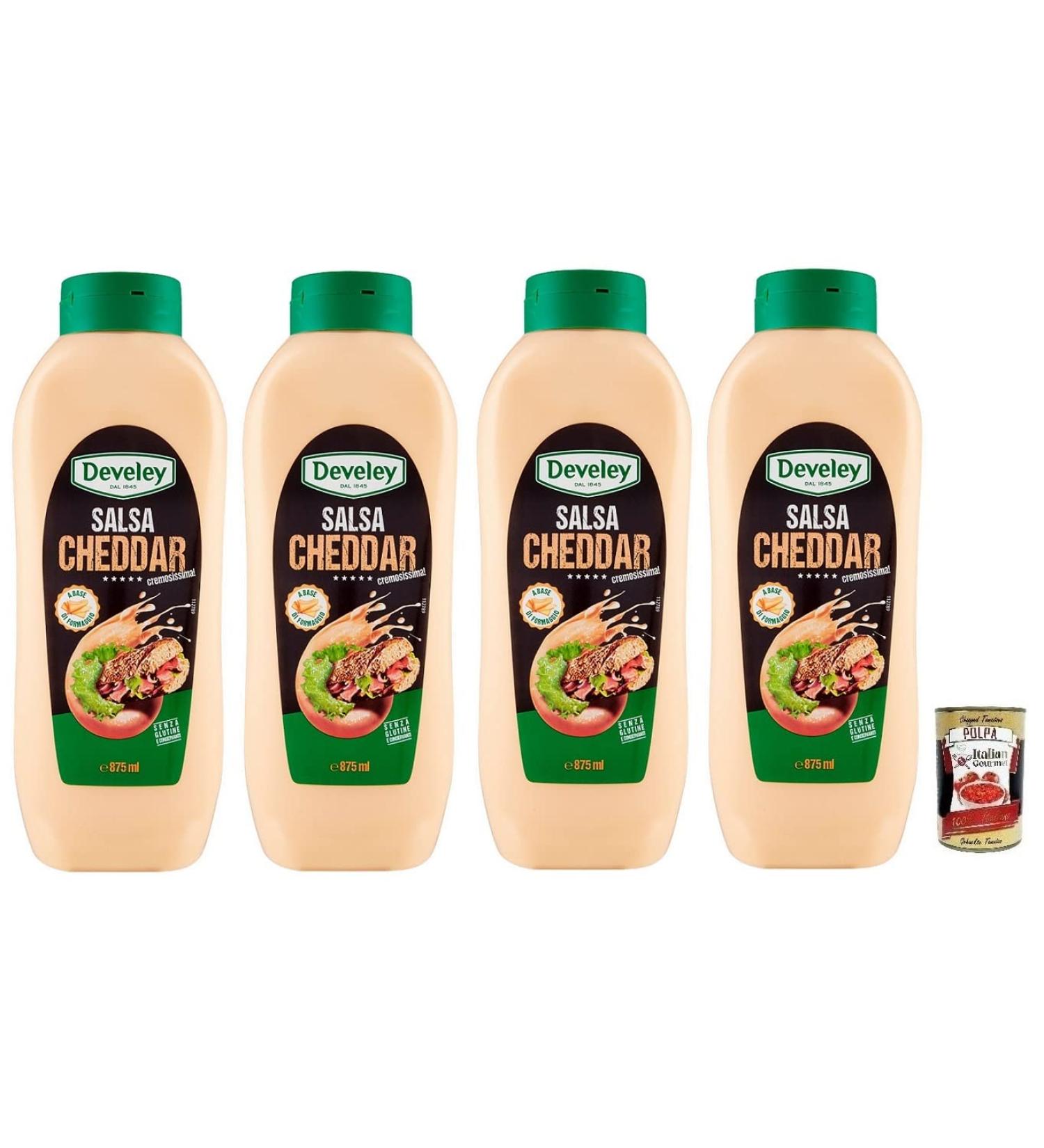  Italian Gourmet E.R. Develey Salsa Gluten Free Cheddar Sauce Set of 4 870ml + 400g - Buy Online on GoSupps.com