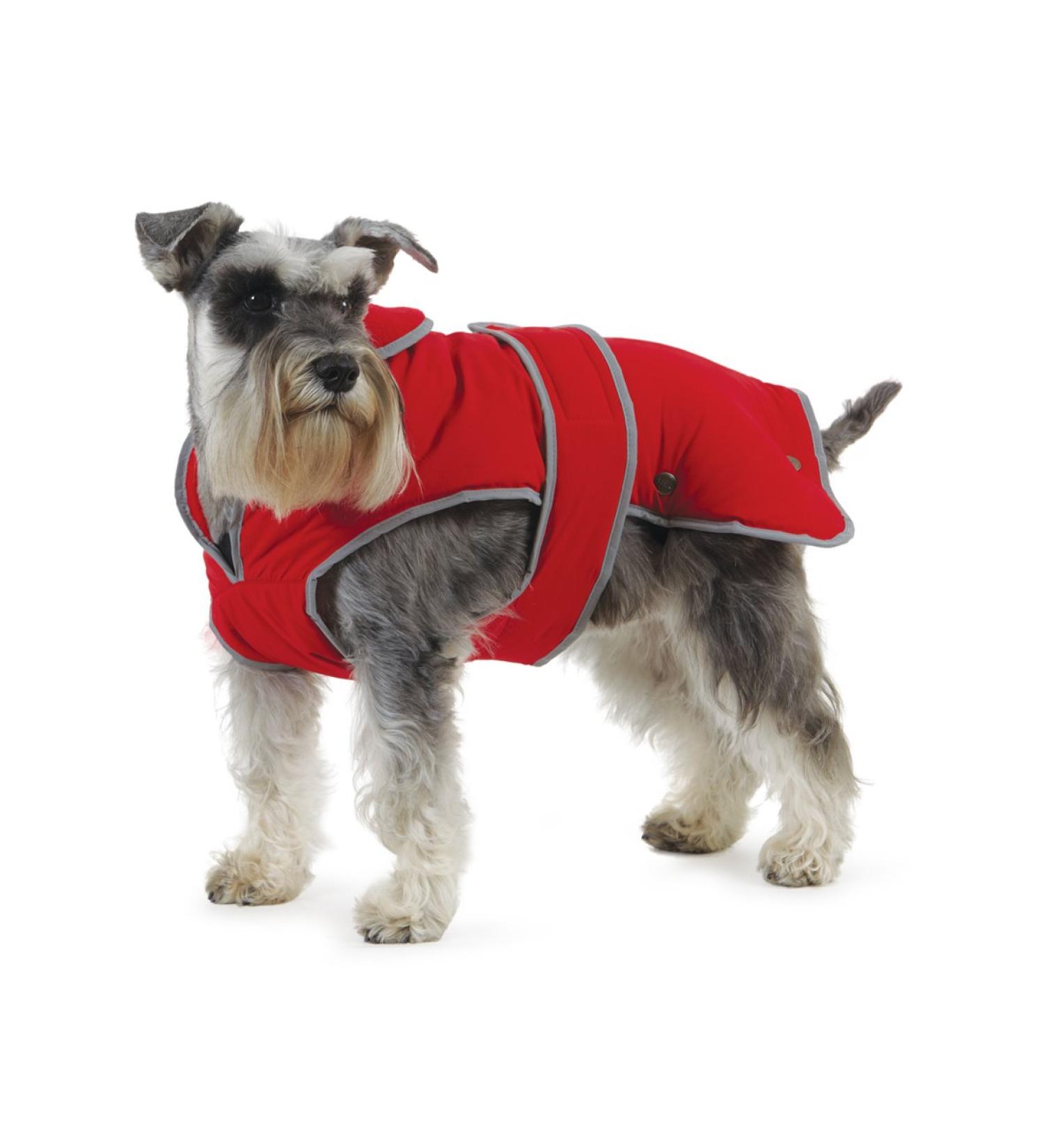 Ancol Muddy Paws All Weather Stormguard Coat . Poppy Red. Size X-Large ( Length 60cm up to 86cm girth) Red XL - Buy Online on GoSupps.com